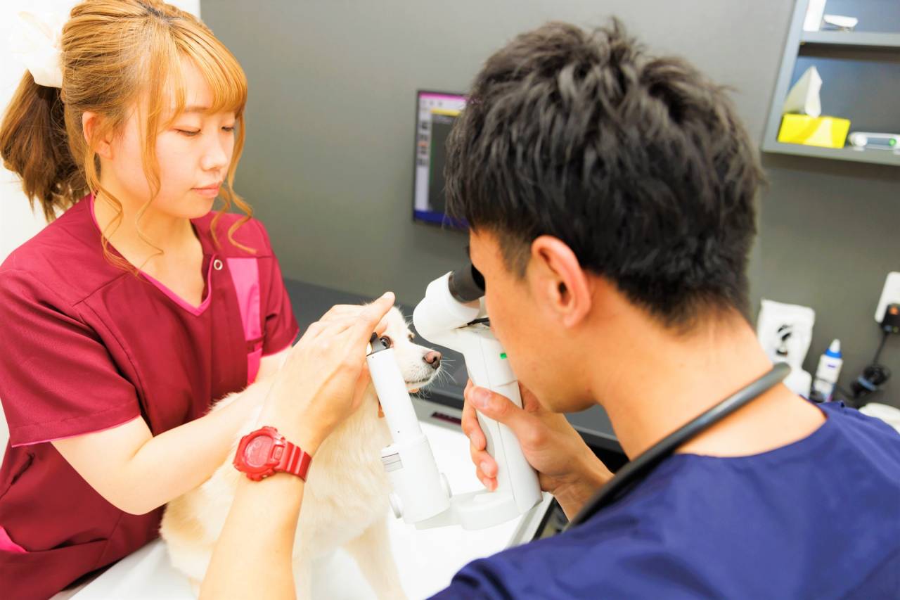 豊富な眼科医療機器で専門的な検査・治療・手術