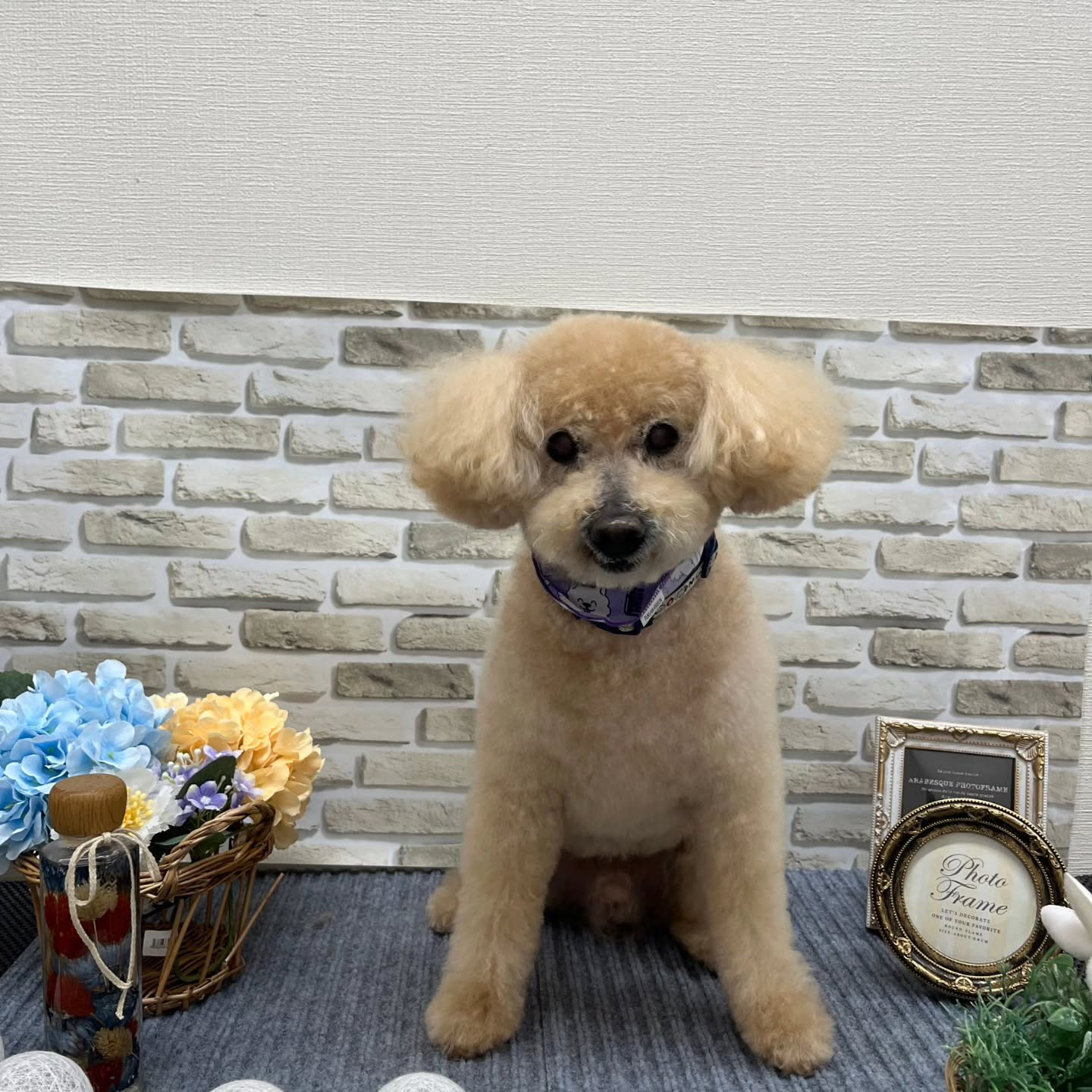 おはようございます🌈