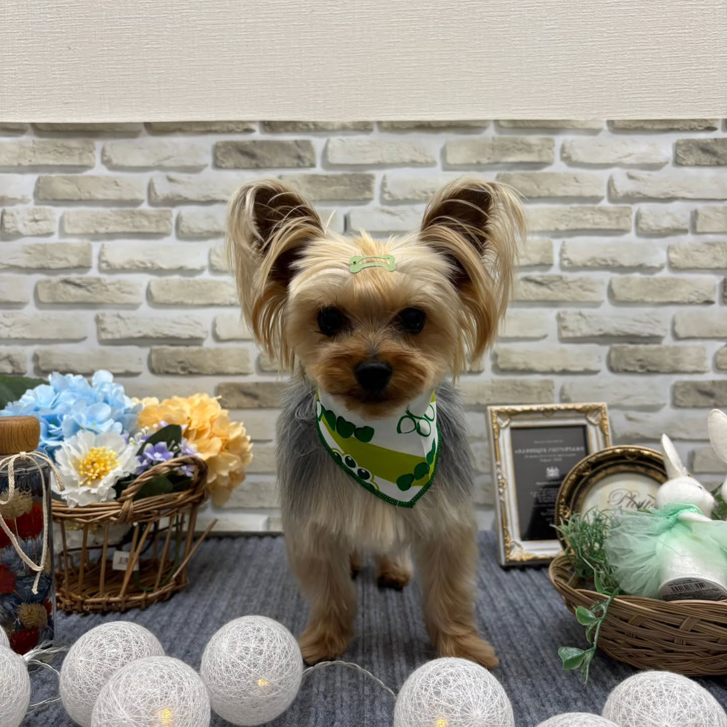 おはようございます🌈