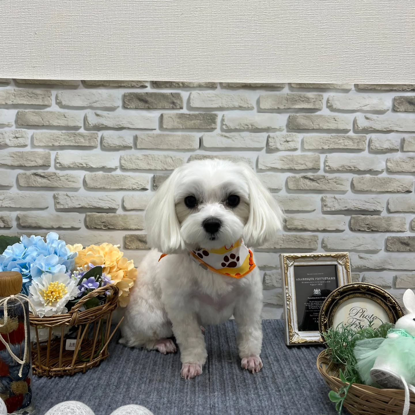 おはようございます🌈