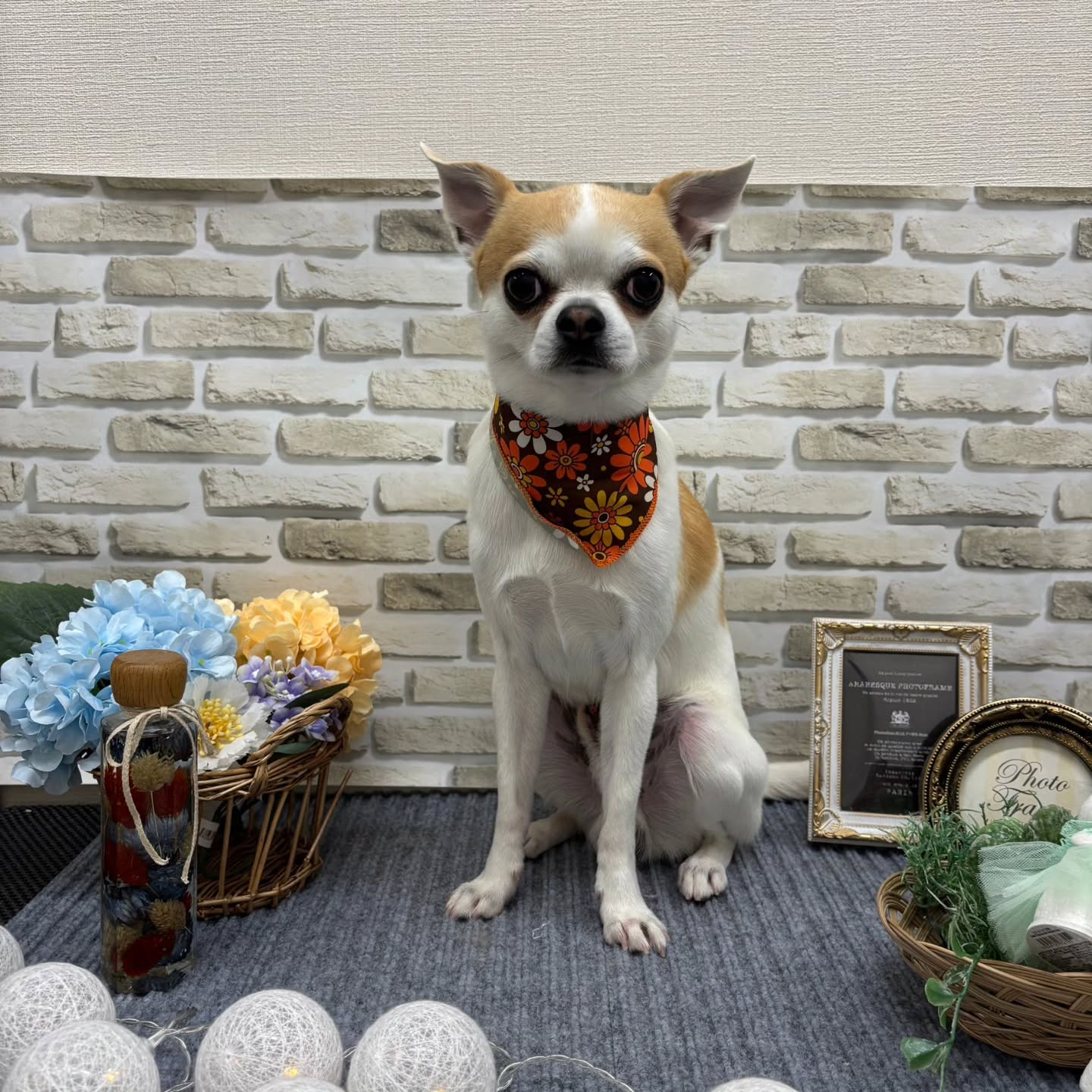 おはようございます🌈