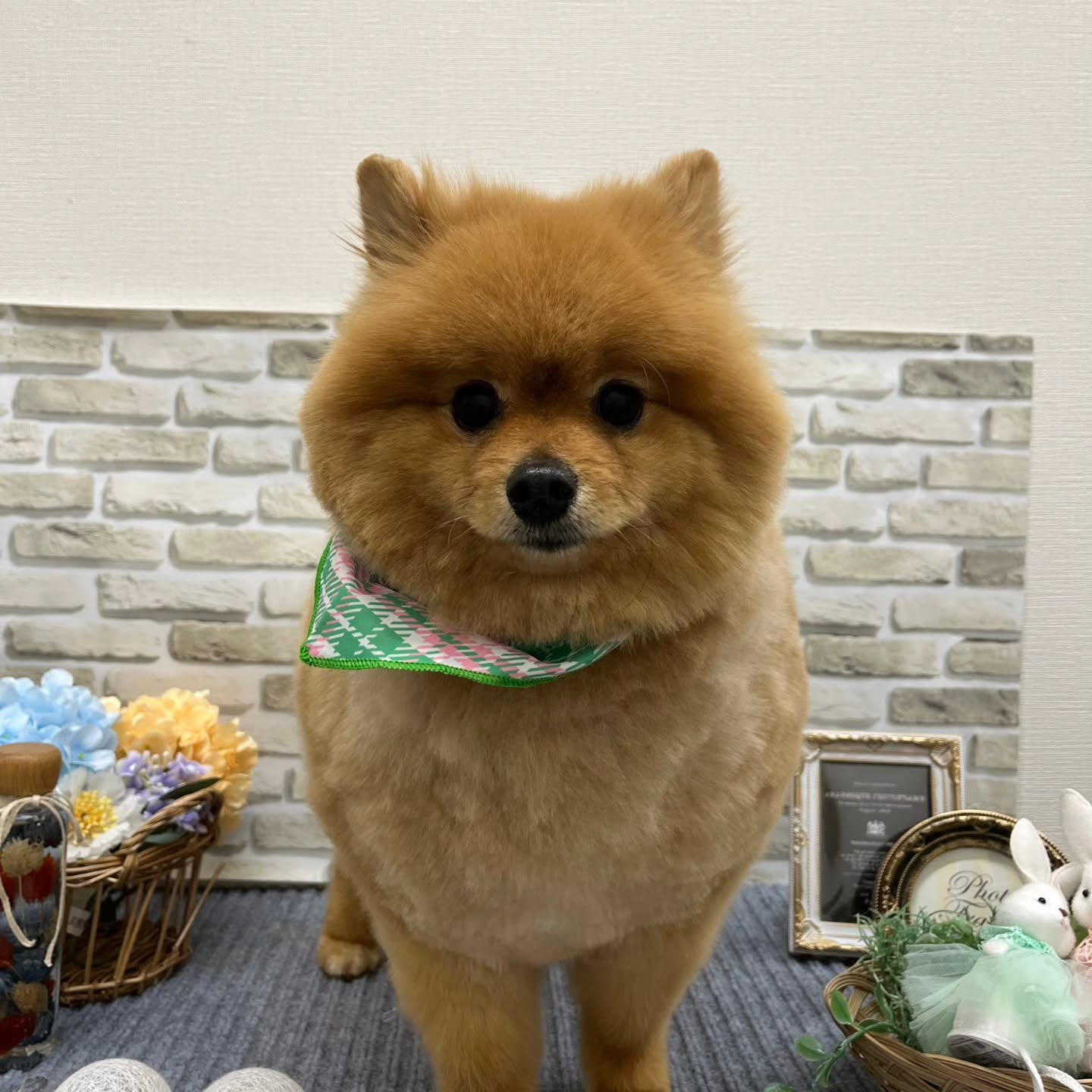 おはようございます🌈