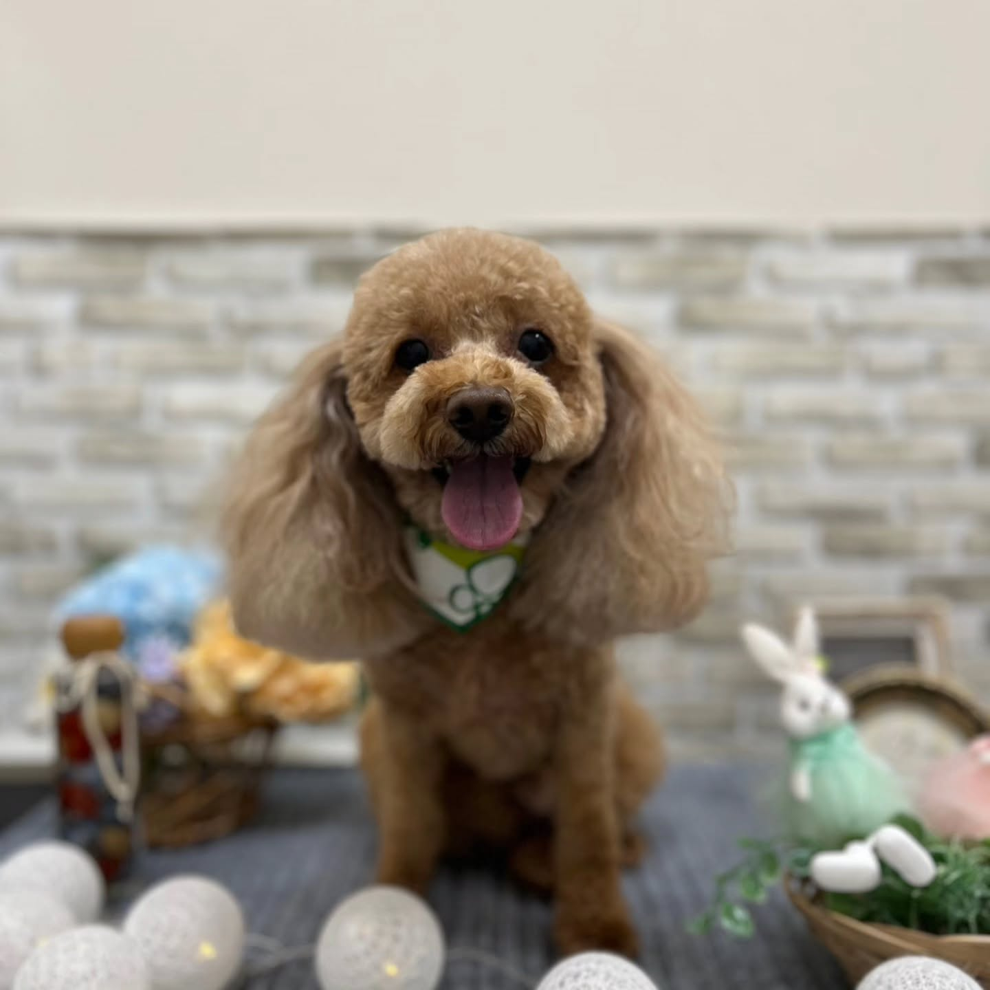 ☂️☂️☂️☂️☂️☂️☂️☂️☂️☂️☂️☂️