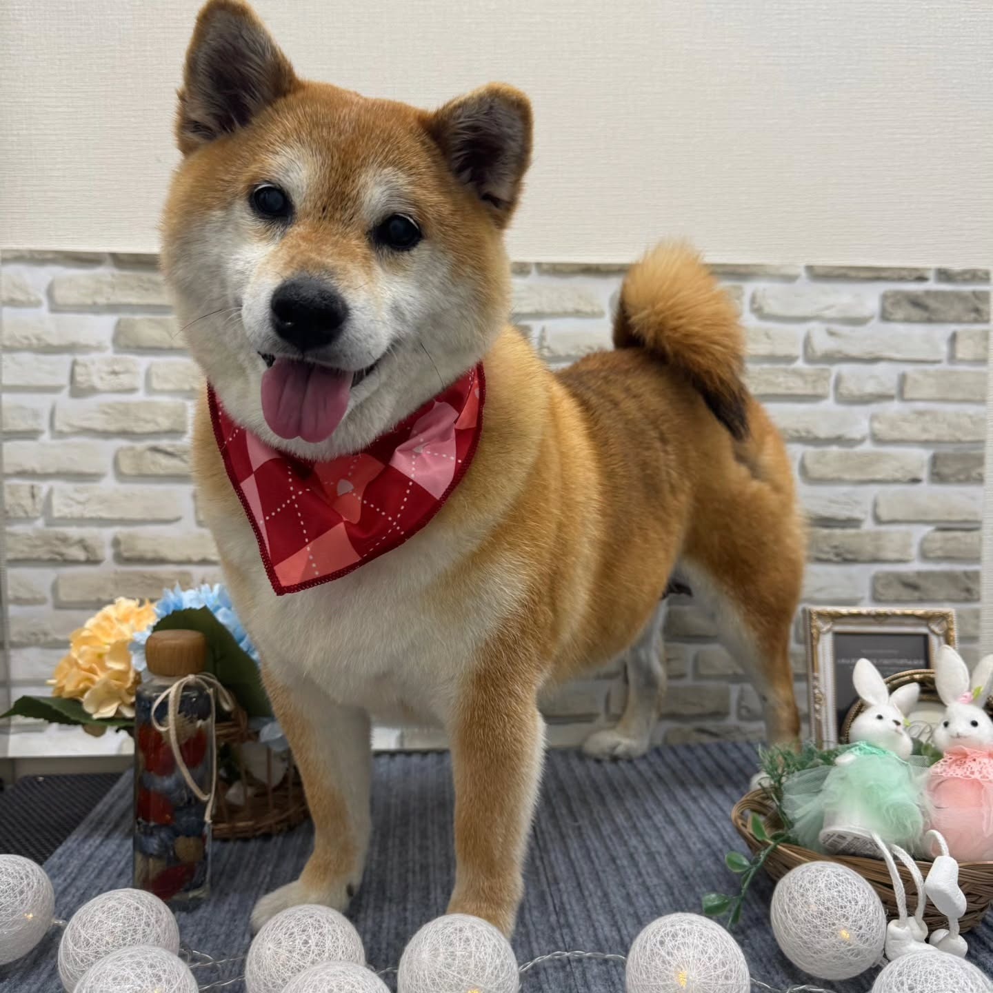 ☂️☂️☂️☂️☂️☂️☂️☂️☂️☂️☂️☂️