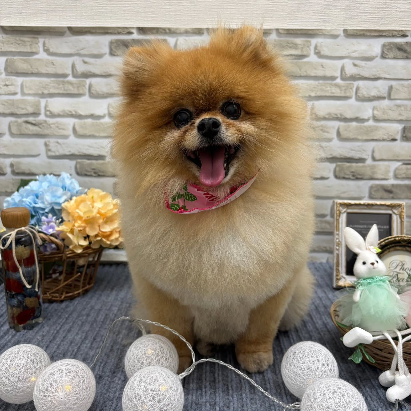 ☂️☂️☂️☂️☂️☂️☂️☂️☂️☂️☂️☂️