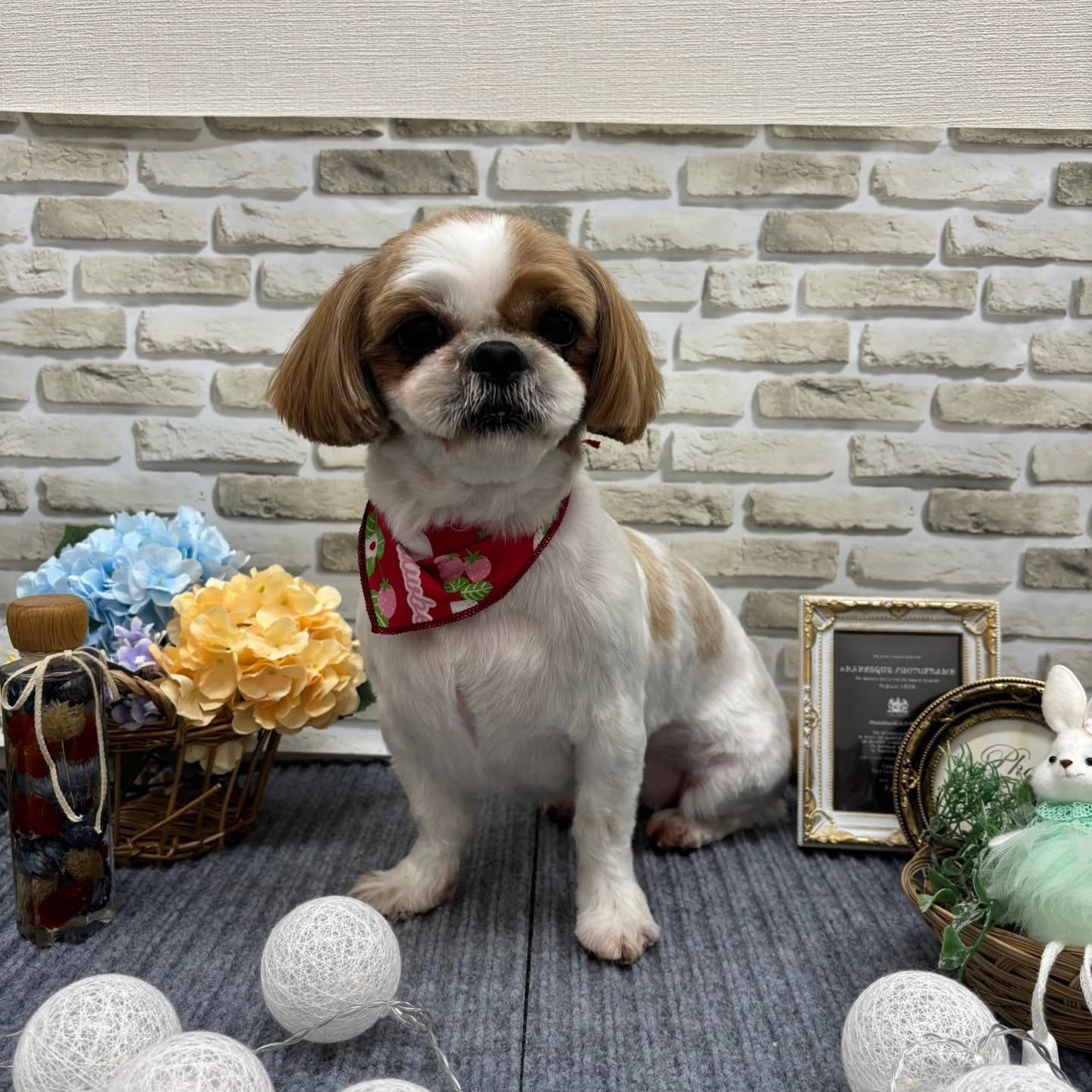 ☂️☂️☂️☂️☂️☂️☂️☂️☂️☂️☂️☂️