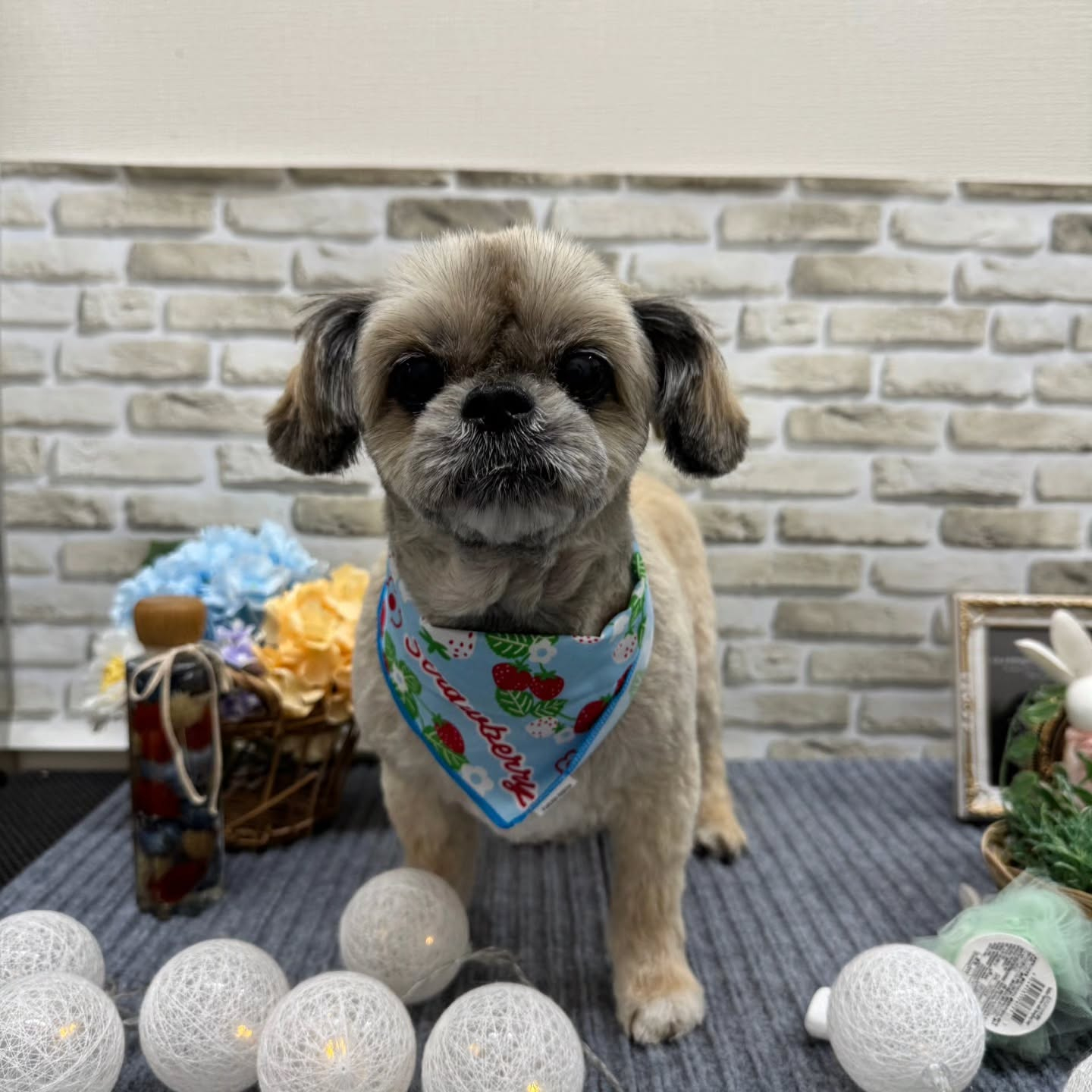 ☂️☂️☂️☂️☂️☂️☂️☂️☂️☂️☂️☂️