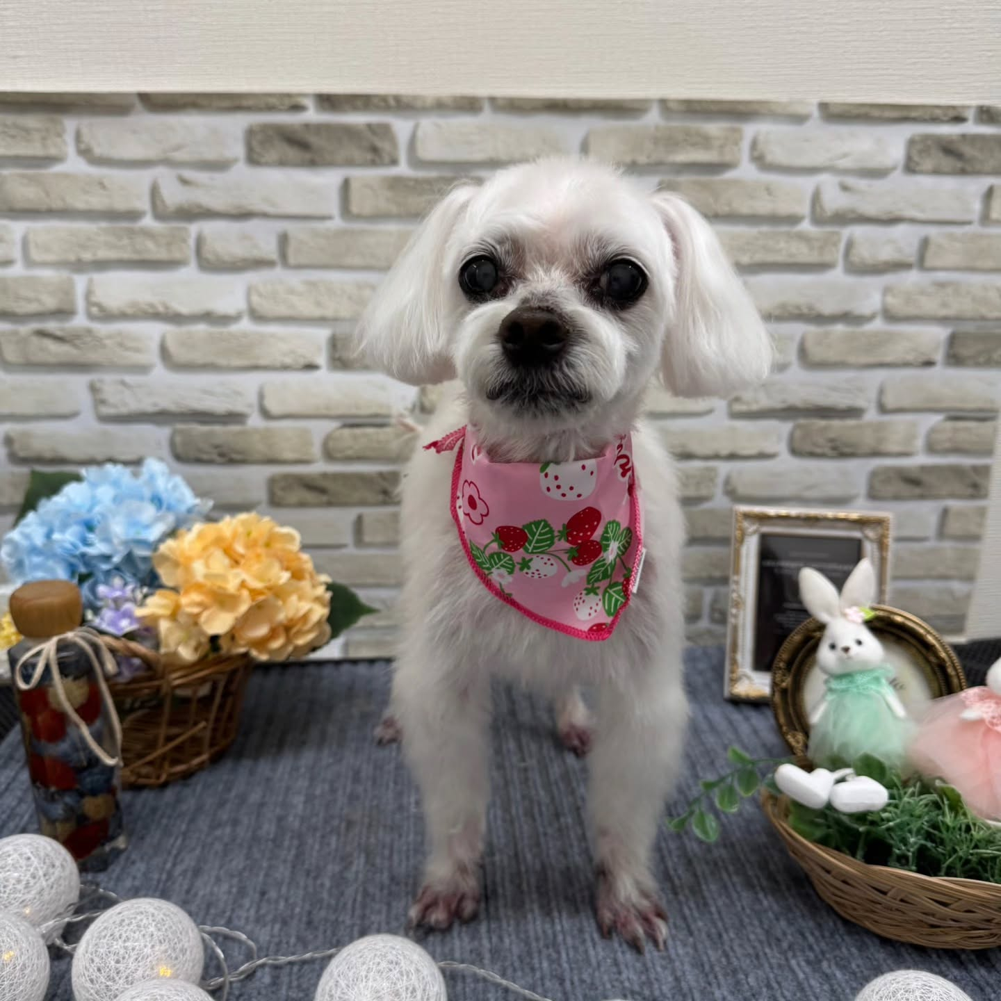 ☂️☂️☂️☂️☂️☂️☂️☂️☂️☂️☂️☂️