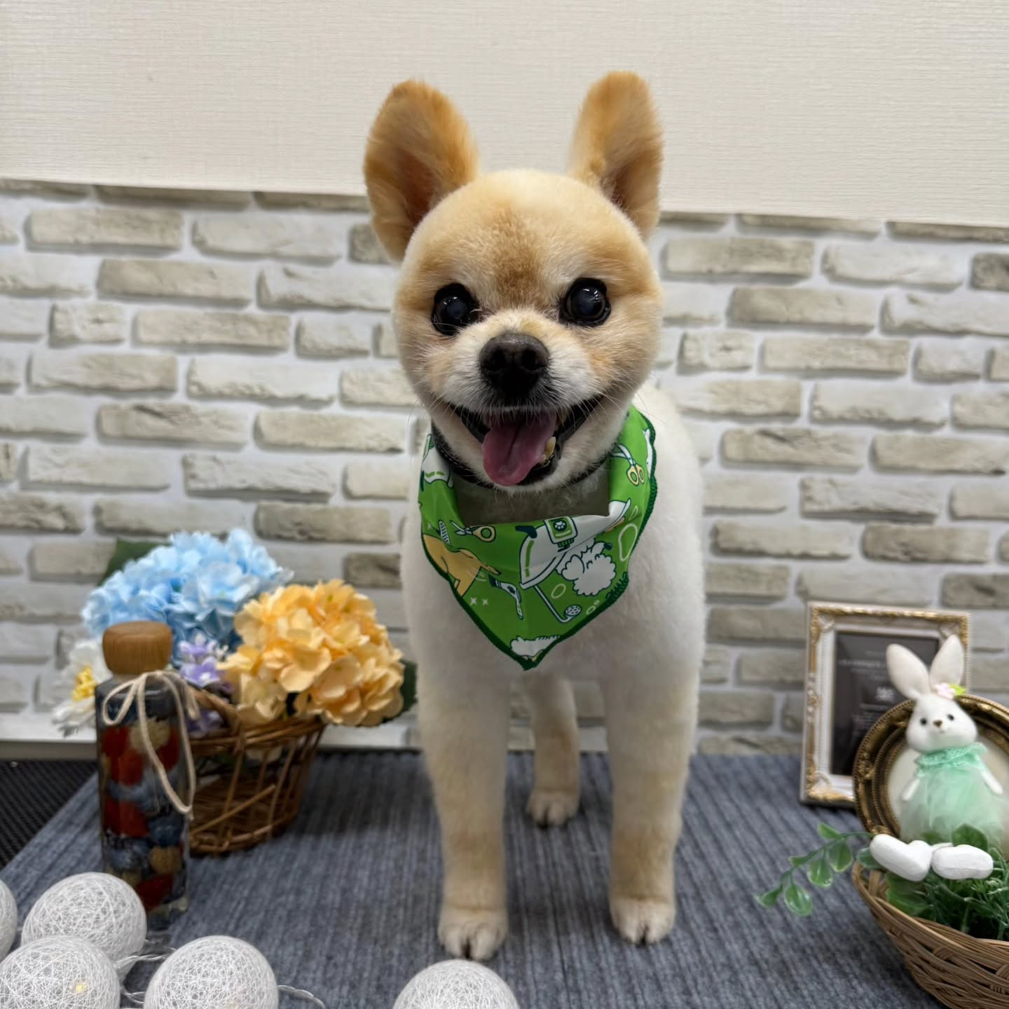 ☂️☂️☂️☂️☂️☂️☂️☂️☂️☂️☂️☂️