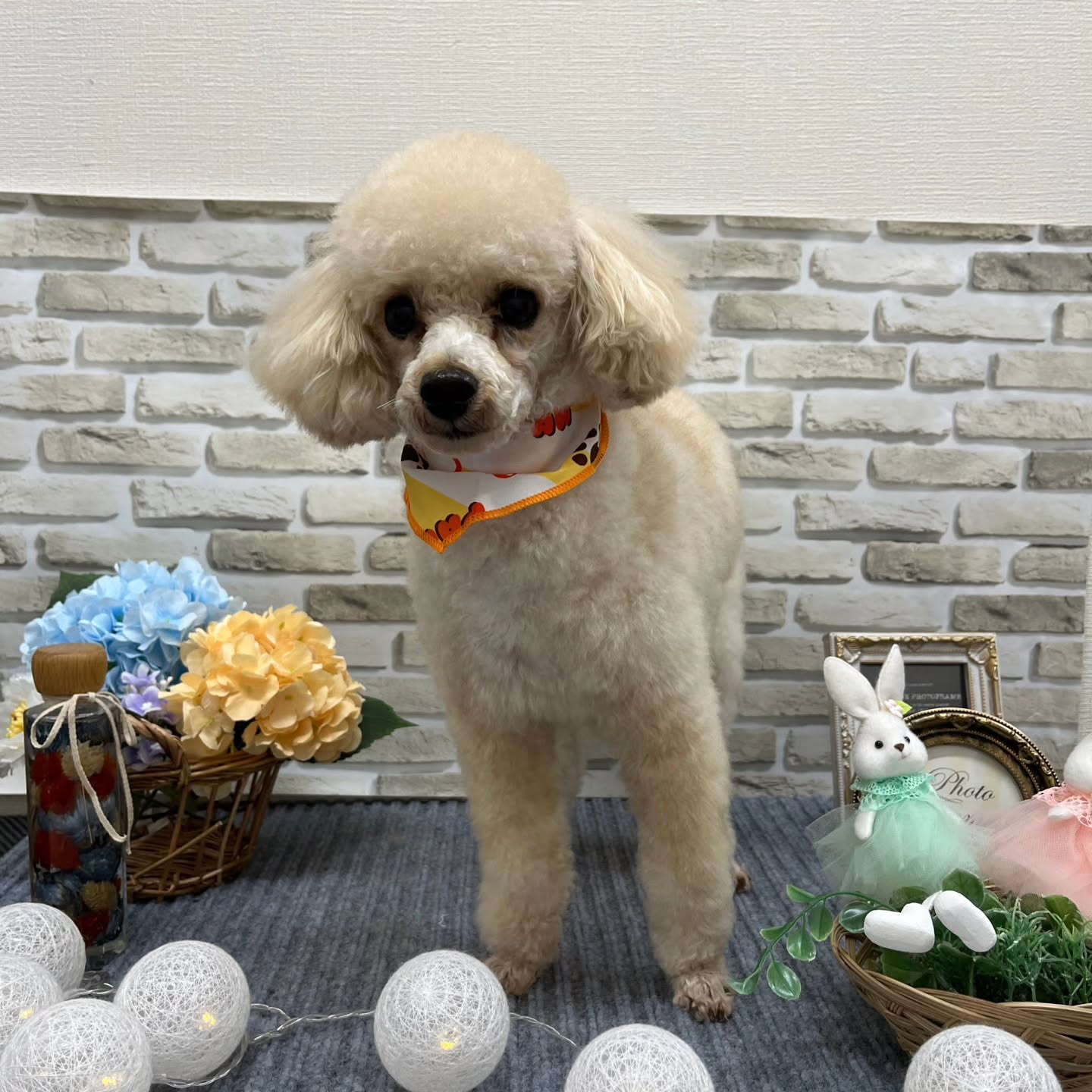 ☂️☂️☂️☂️☂️☂️☂️☂️☂️☂️☂️☂️