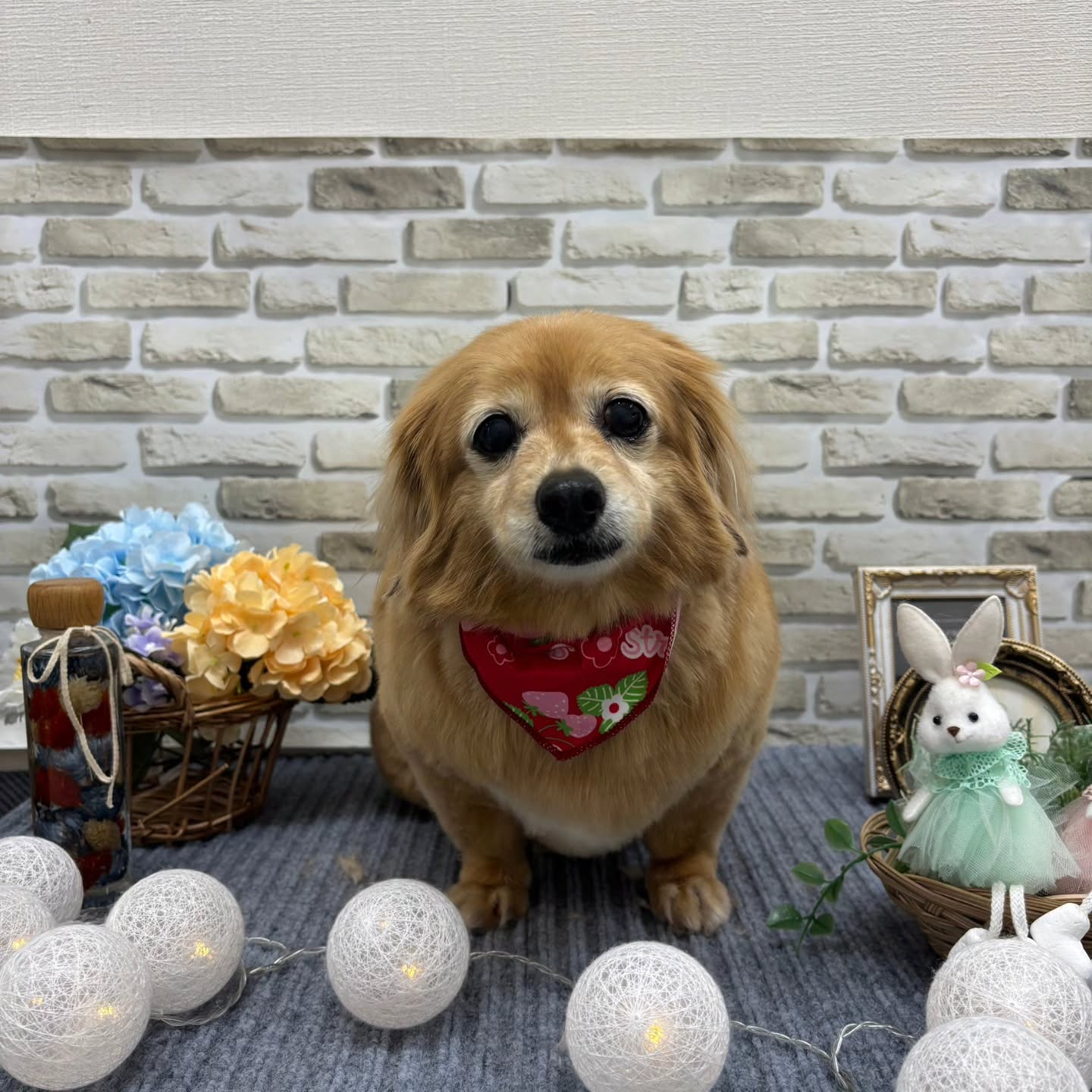 ☂️☂️☂️☂️☂️☂️☂️☂️☂️☂️☂️☂️