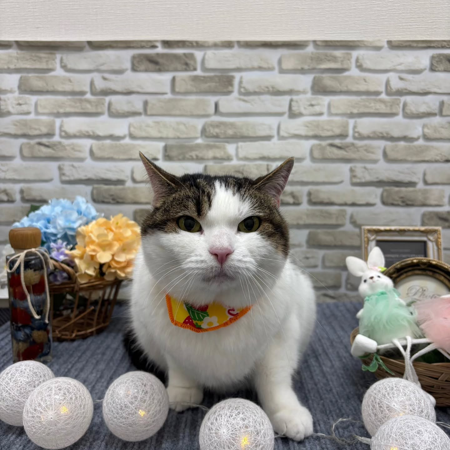 ☂️☂️☂️☂️☂️☂️☂️☂️☂️☂️☂️☂️