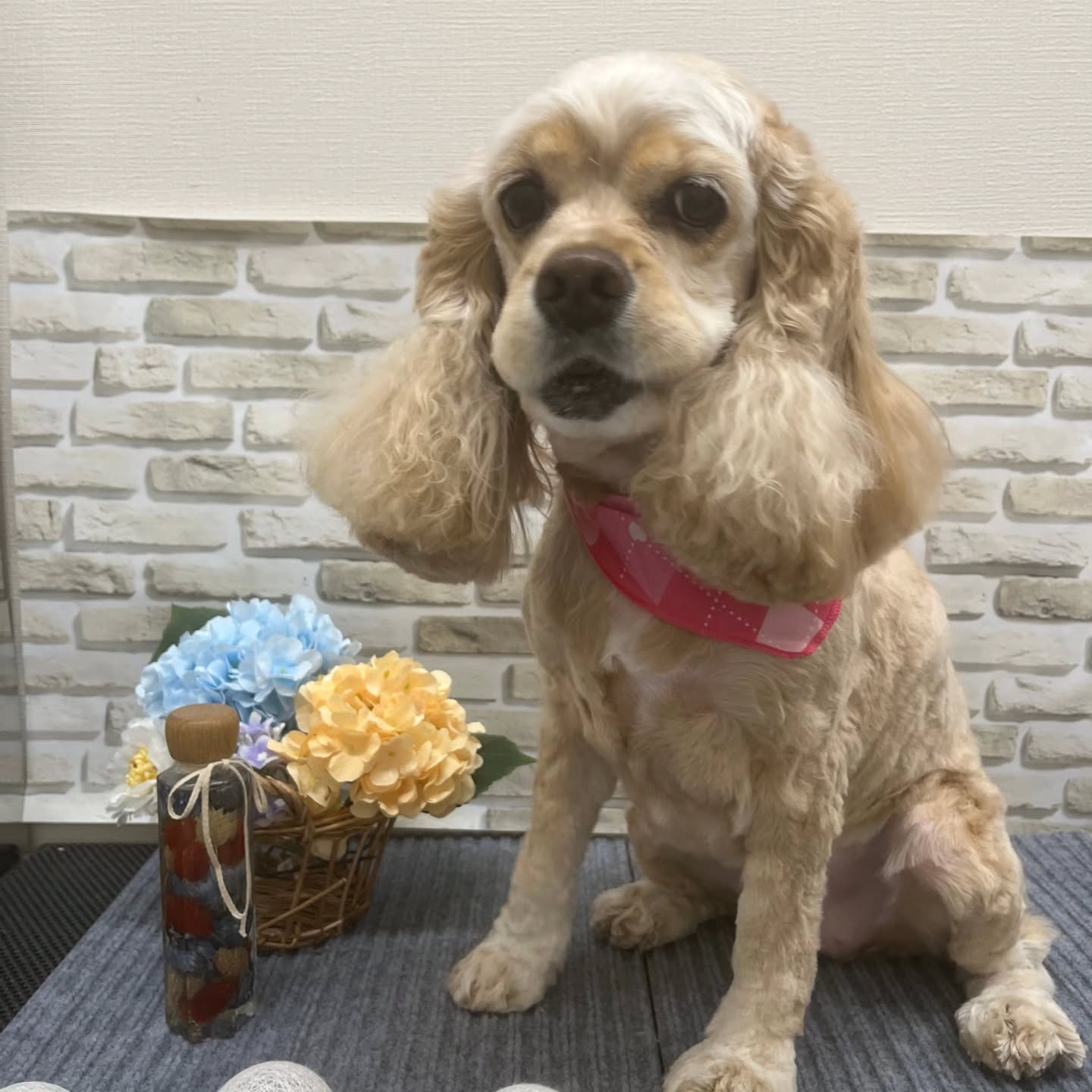 ☂️☂️☂️☂️☂️☂️☂️☂️☂️☂️☂️☂️