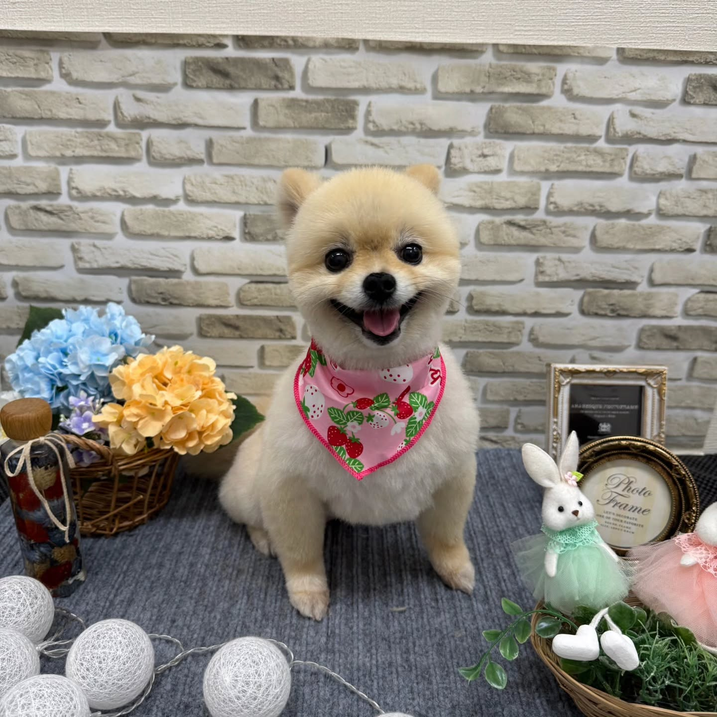 ☂️☂️☂️☂️☂️☂️☂️☂️☂️☂️☂️☂️