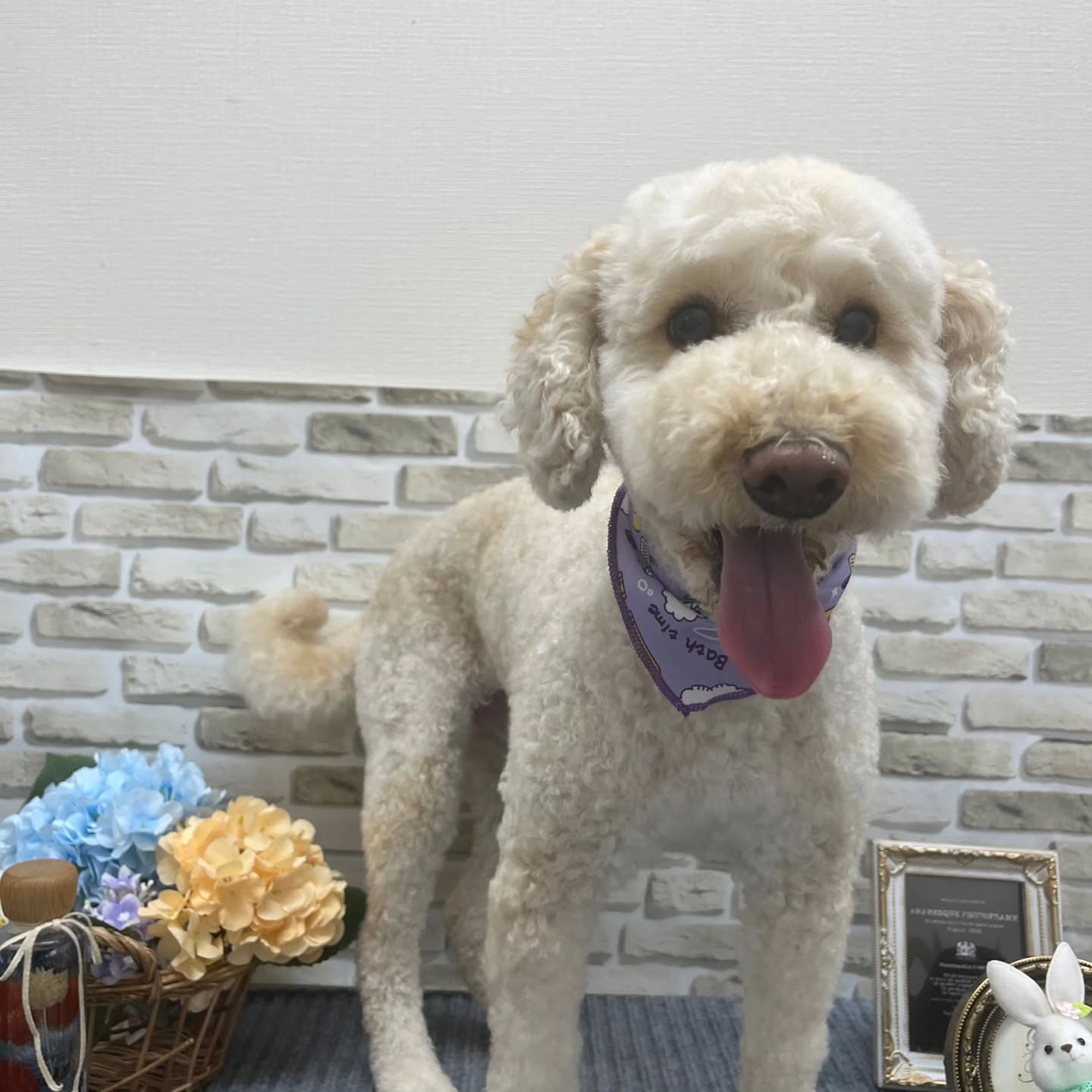 ☂️☂️☂️☂️☂️☂️☂️☂️☂️☂️☂️☂️