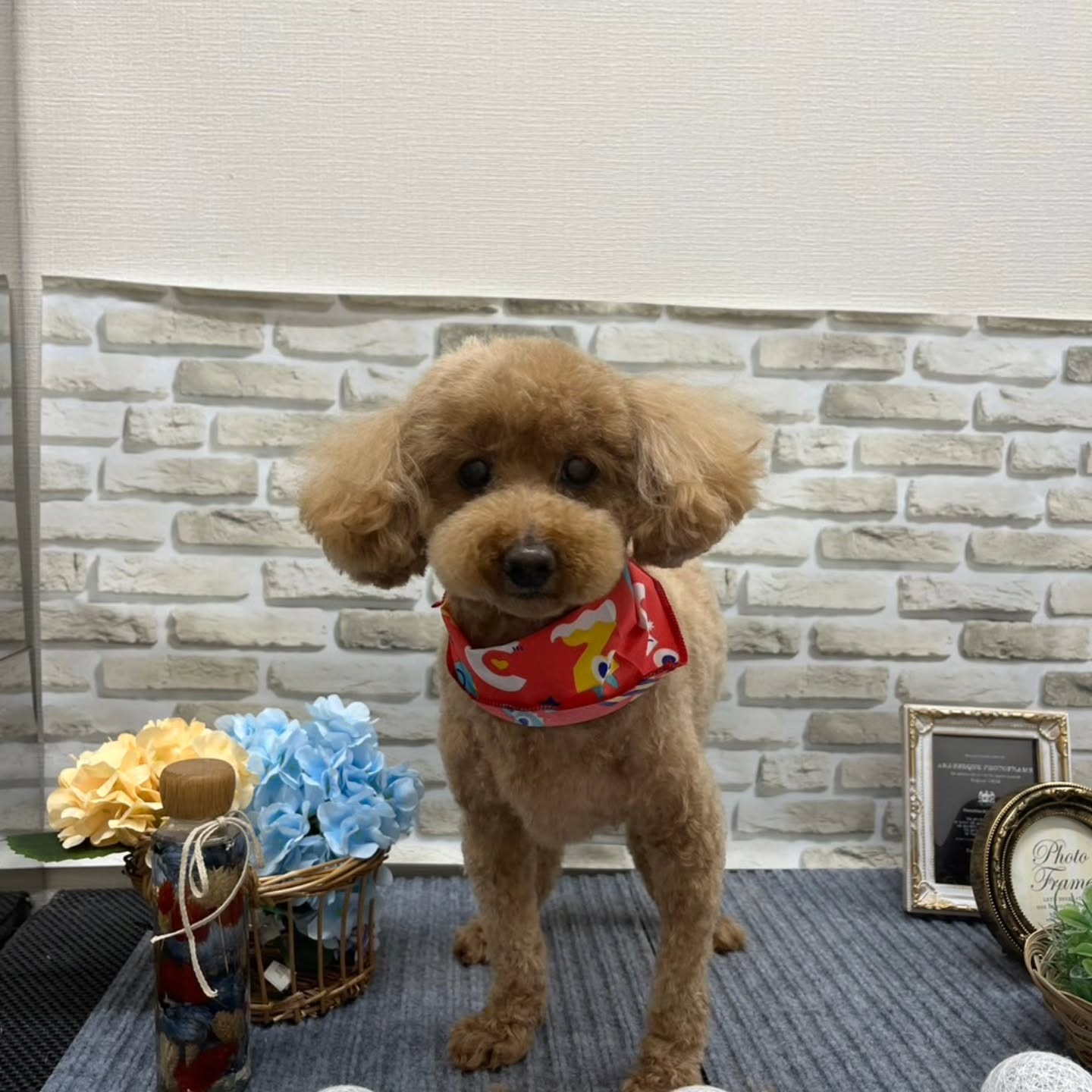 こんにちは🌞