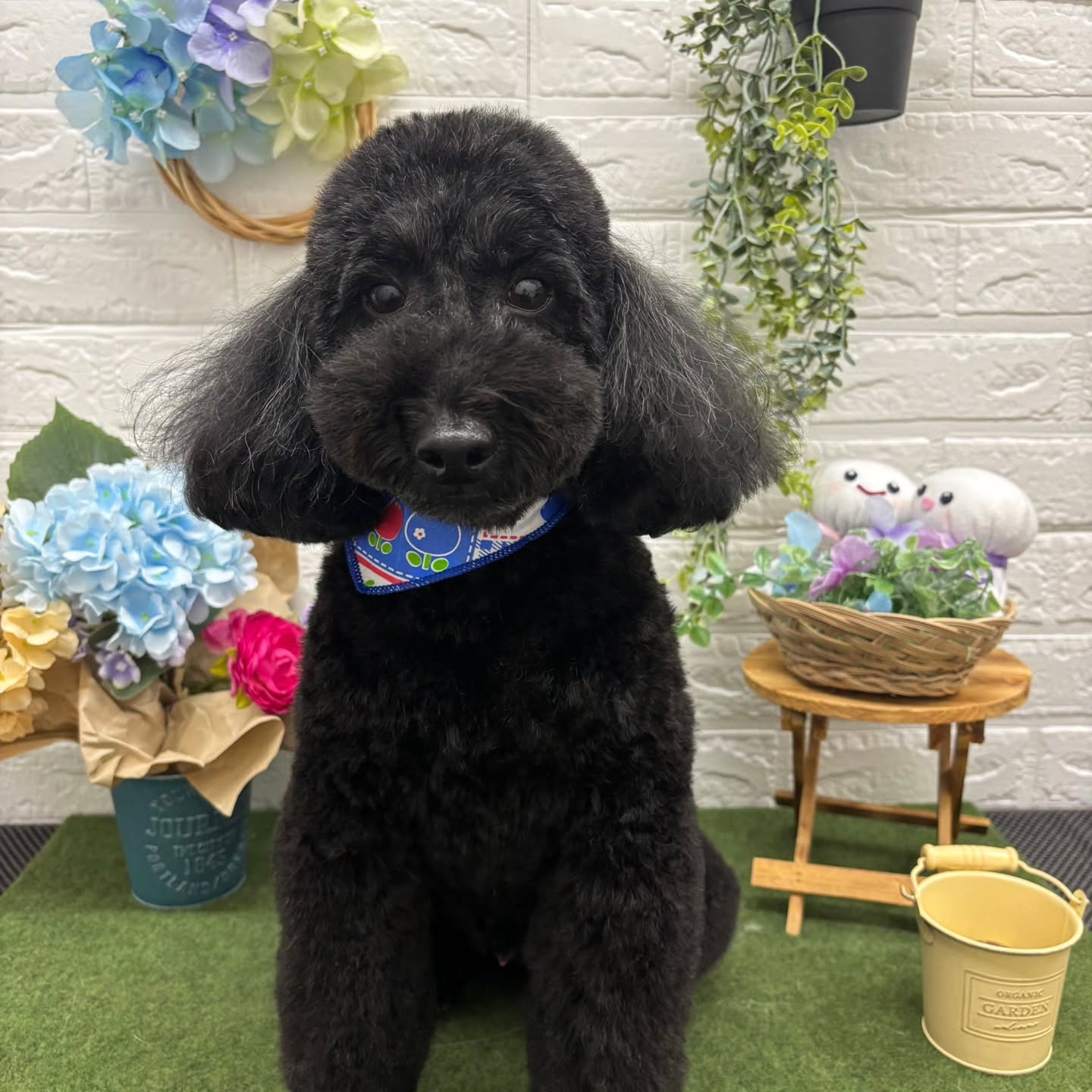 🐸🐸🐸🐸🐸🐸🐸🐸🐸🐸🐸🐸