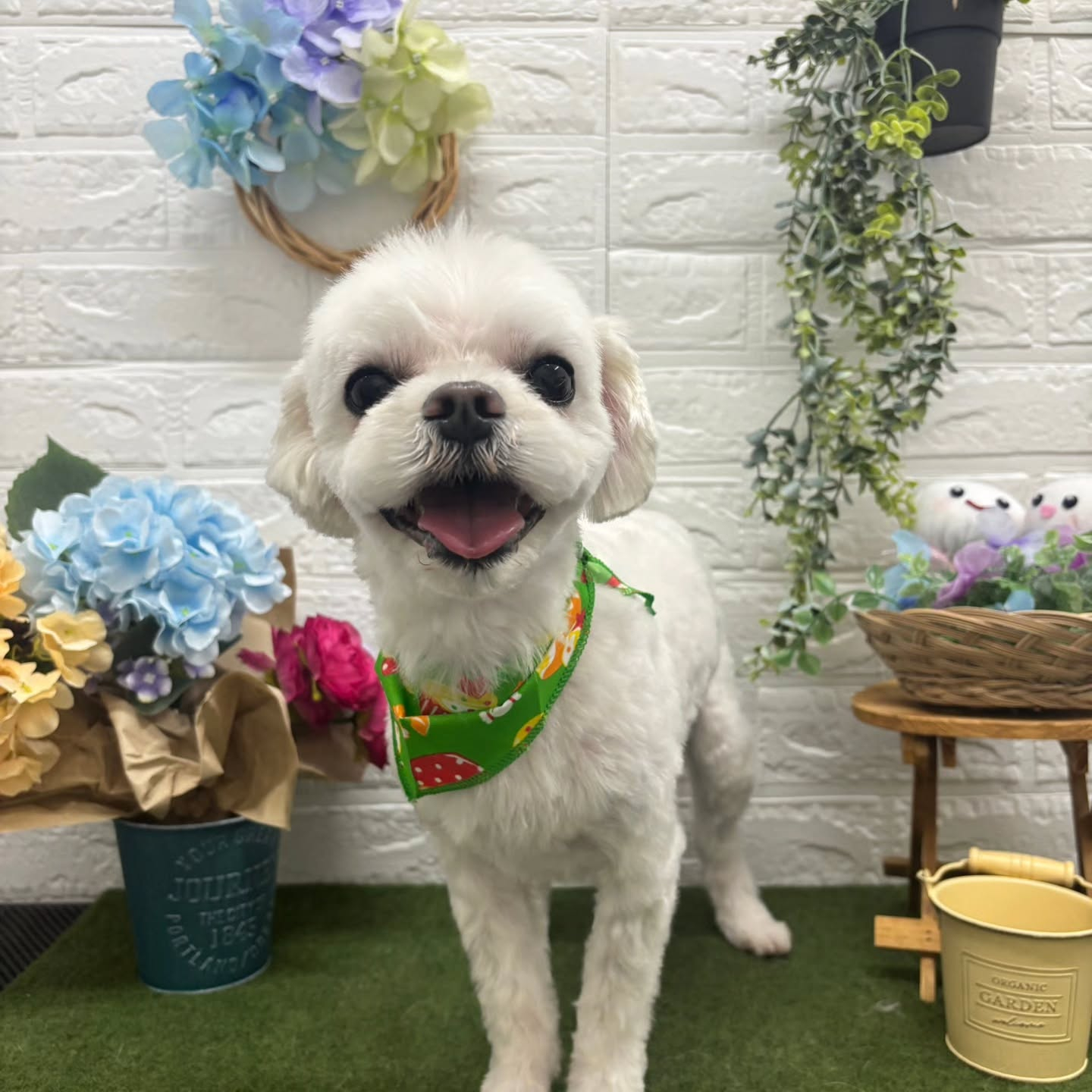 🐸🐸🐸🐸🐸🐸🐸🐸🐸🐸🐸🐸