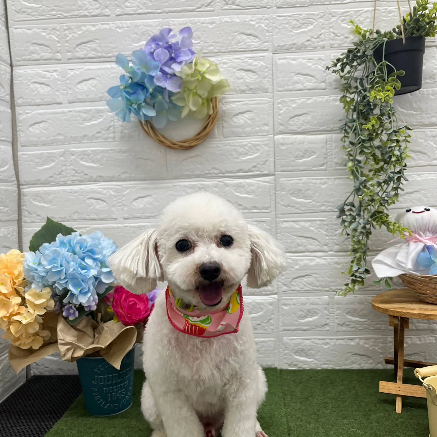 🐸🐸🐸🐸🐸🐸🐸🐸🐸🐸🐸🐸