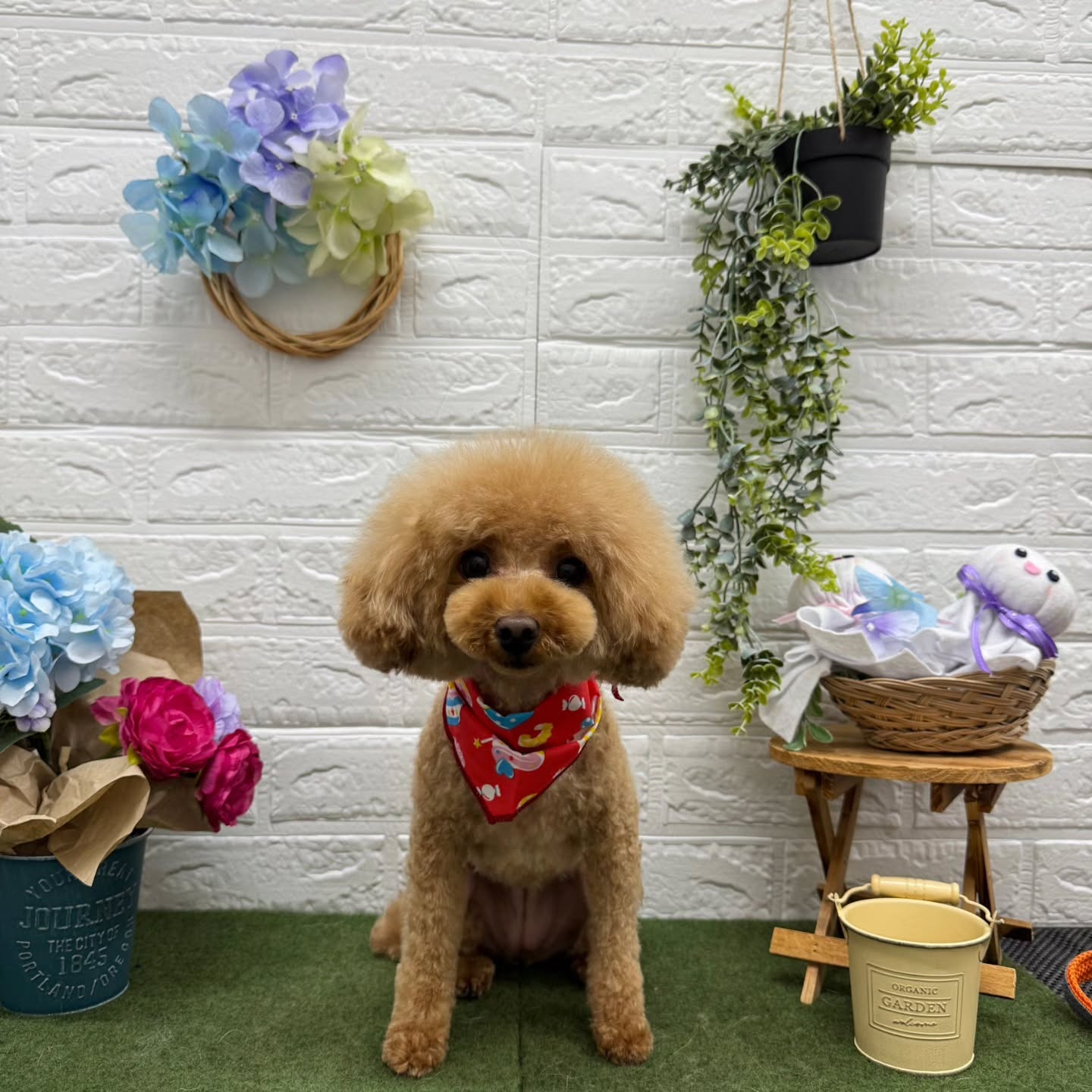 🐸🐸🐸🐸🐸🐸🐸🐸🐸🐸🐸🐸