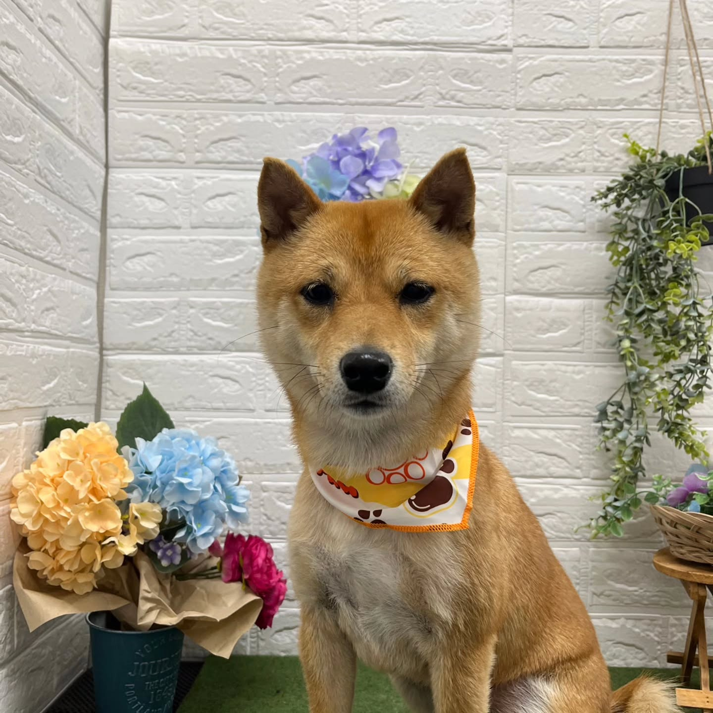 🐸🐸🐸🐸🐸🐸🐸🐸🐸🐸🐸🐸