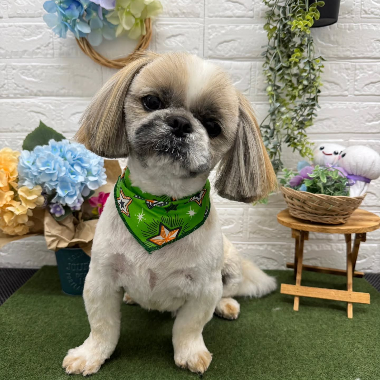 🐸🐸🐸🐸🐸🐸🐸🐸🐸🐸🐸🐸