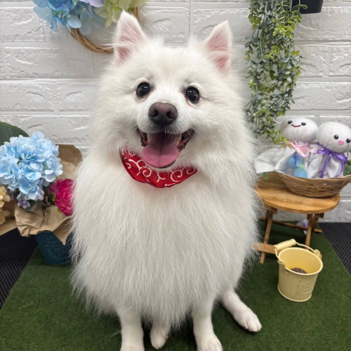 🐸🐸🐸🐸🐸🐸🐸🐸🐸🐸🐸🐸