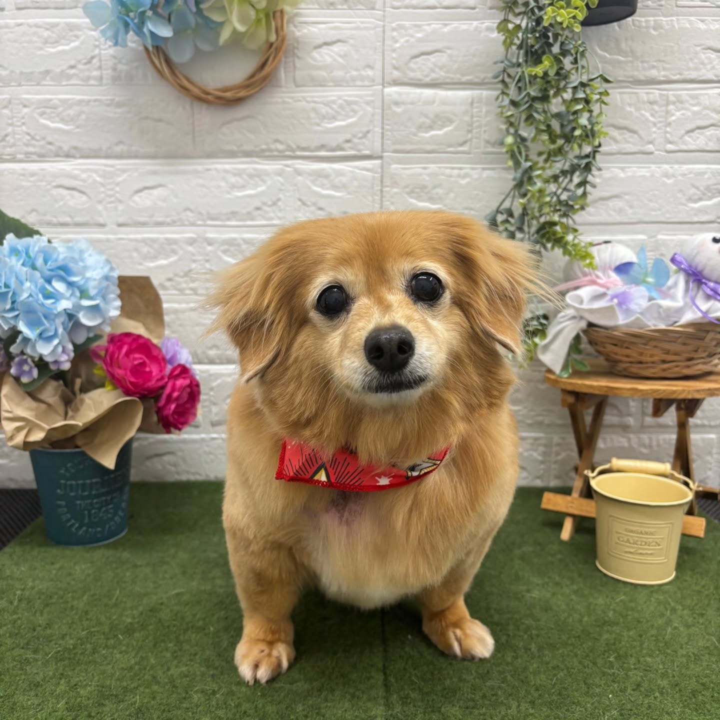 🐸🐸🐸🐸🐸🐸🐸🐸🐸🐸🐸🐸