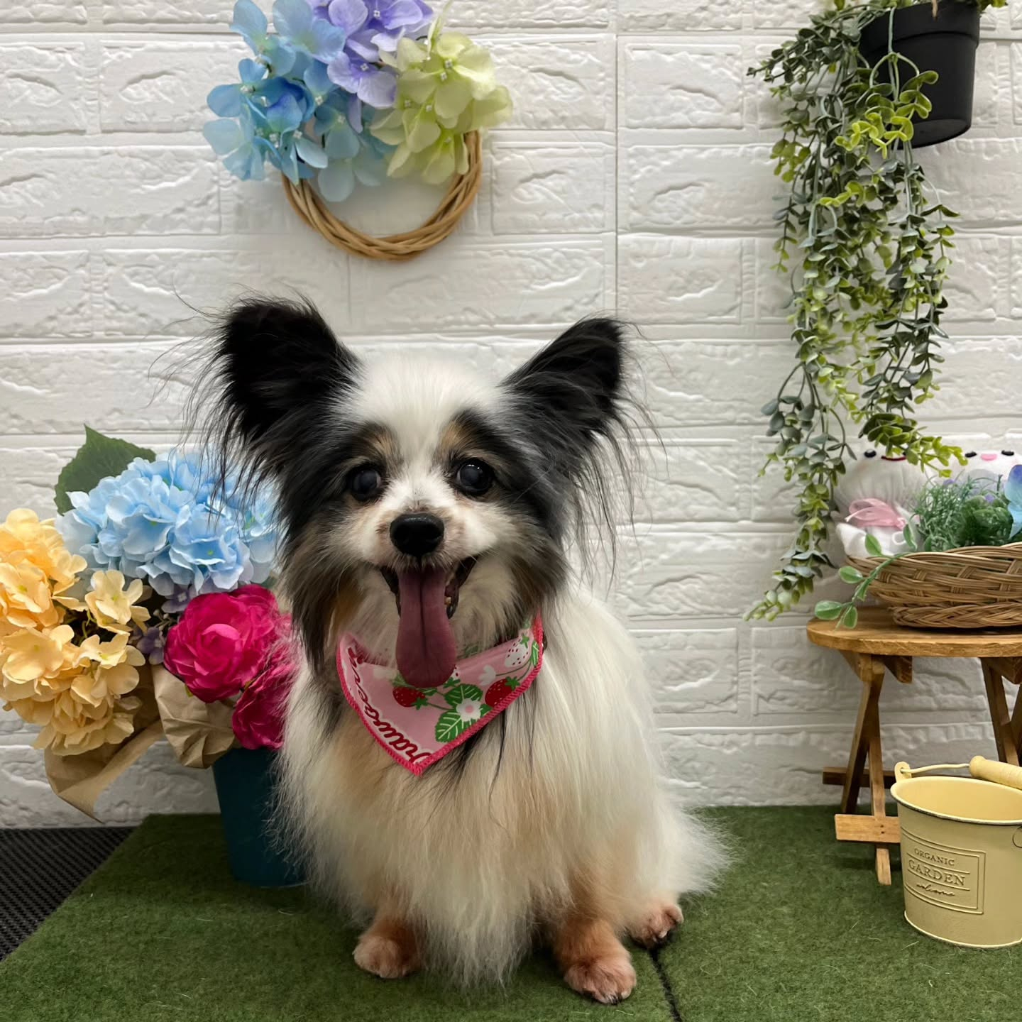 🐸🐸🐸🐸🐸🐸🐸🐸