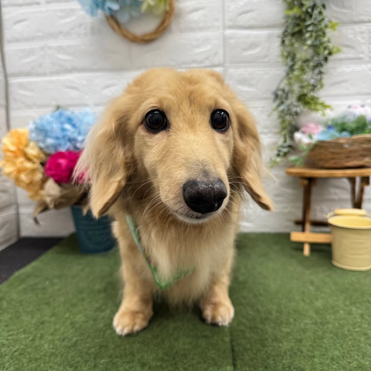 🐸🐸🐸🐸🐸🐸🐸🐸