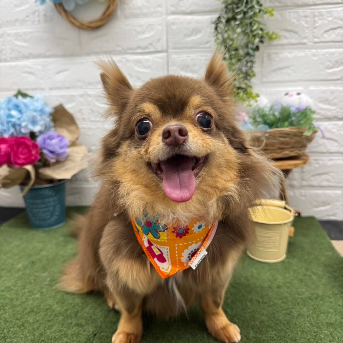 🐸🐸🐸🐸🐸🐸🐸🐸