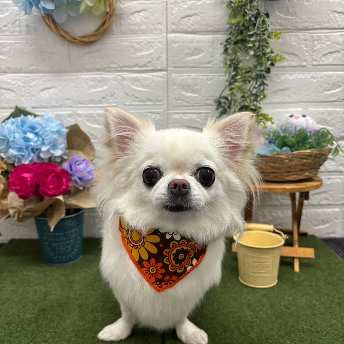 🐸🐸🐸🐸🐸🐸🐸🐸