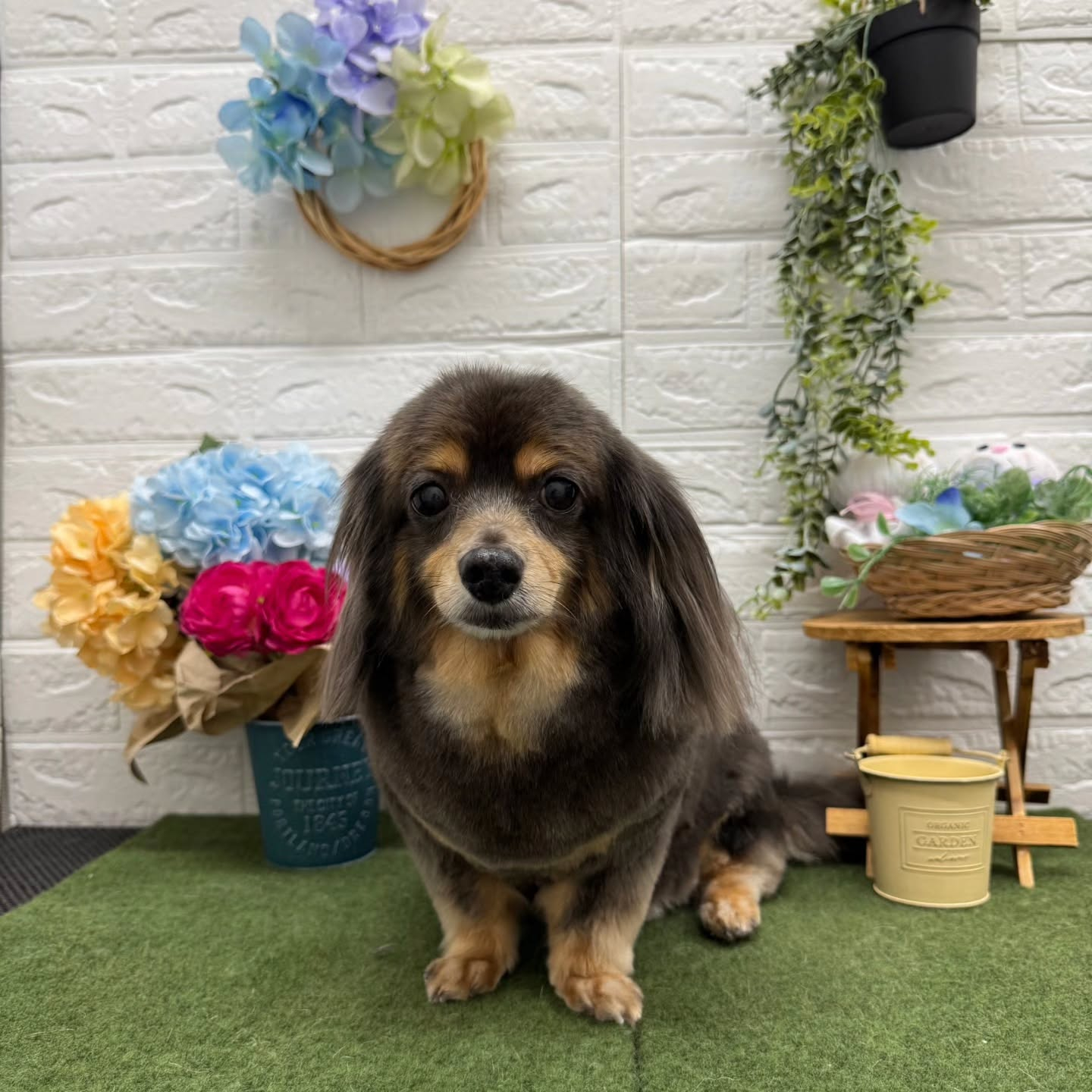 🐸🐸🐸🐸🐸🐸🐸🐸