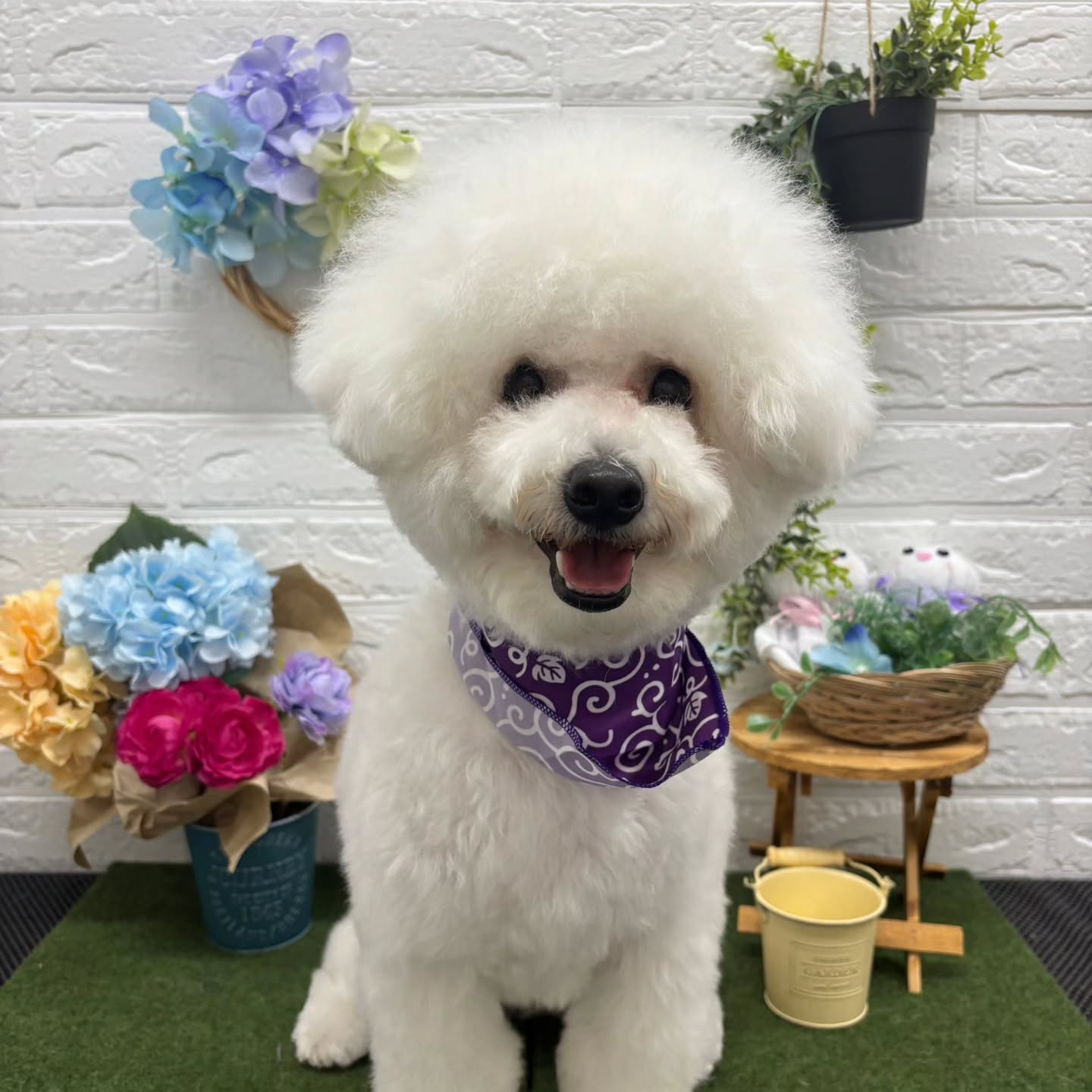 🐸🐸🐸🐸🐸🐸🐸🐸