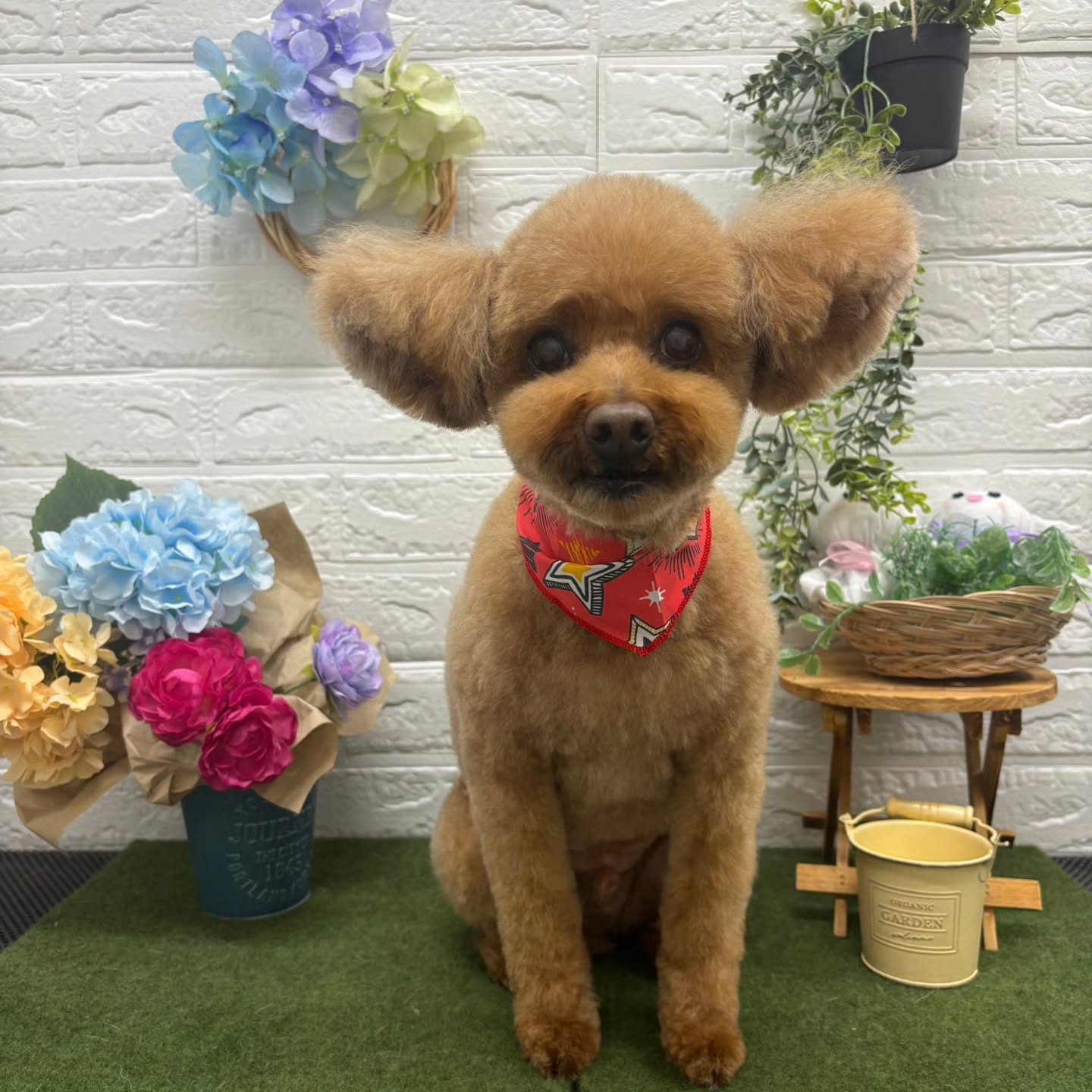 🐸🐸🐸🐸🐸🐸🐸🐸