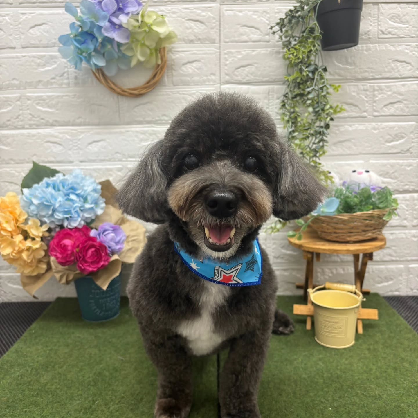 🐸🐸🐸🐸🐸🐸🐸🐸