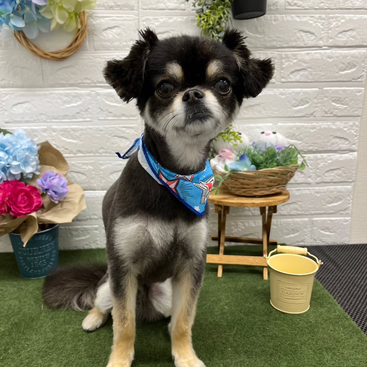 🐸🐸🐸🐸🐸🐸🐸🐸