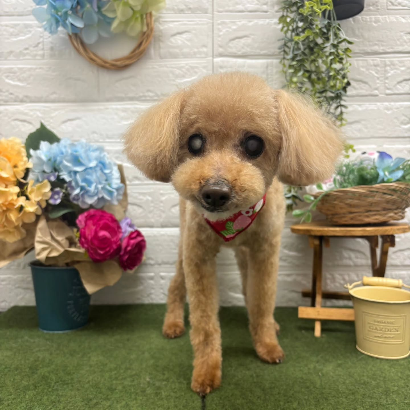 🐸🐸🐸🐸🐸🐸🐸🐸