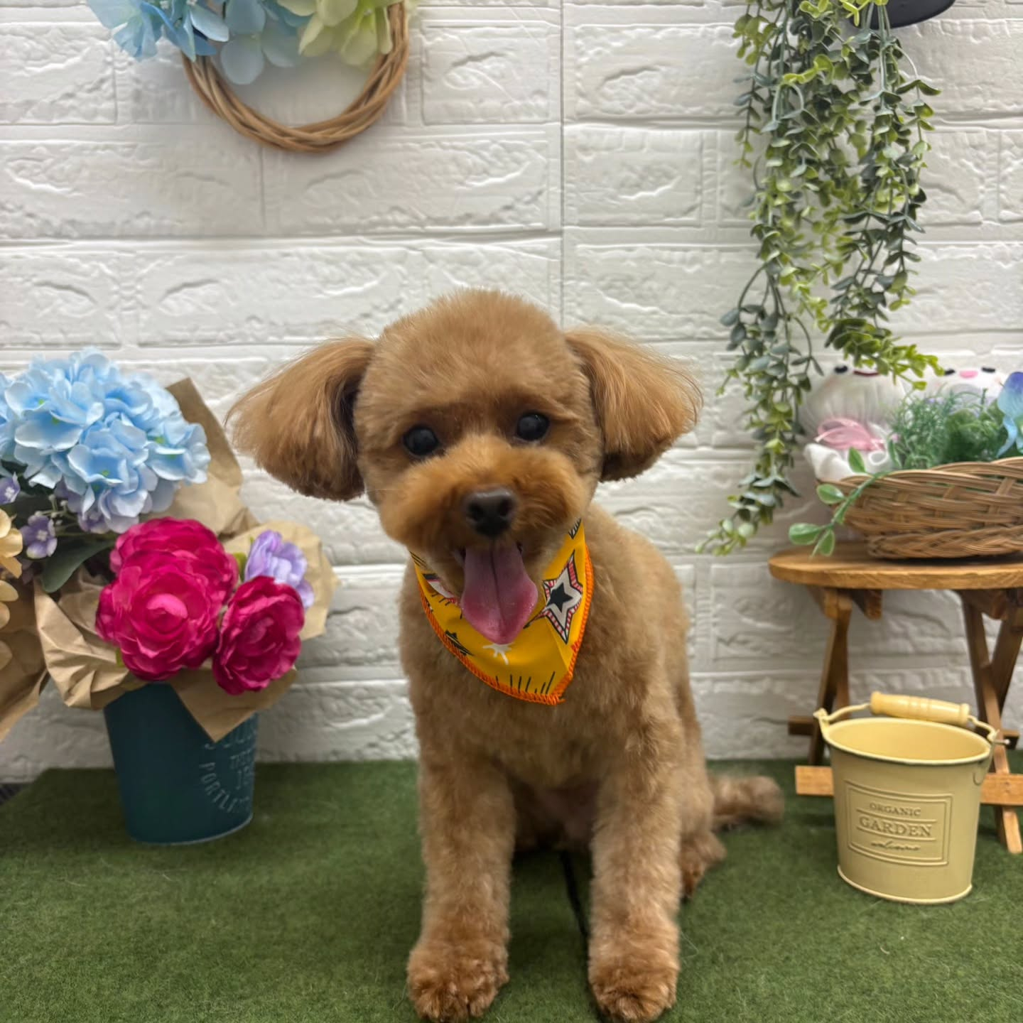 🐸🐸🐸🐸🐸🐸🐸🐸