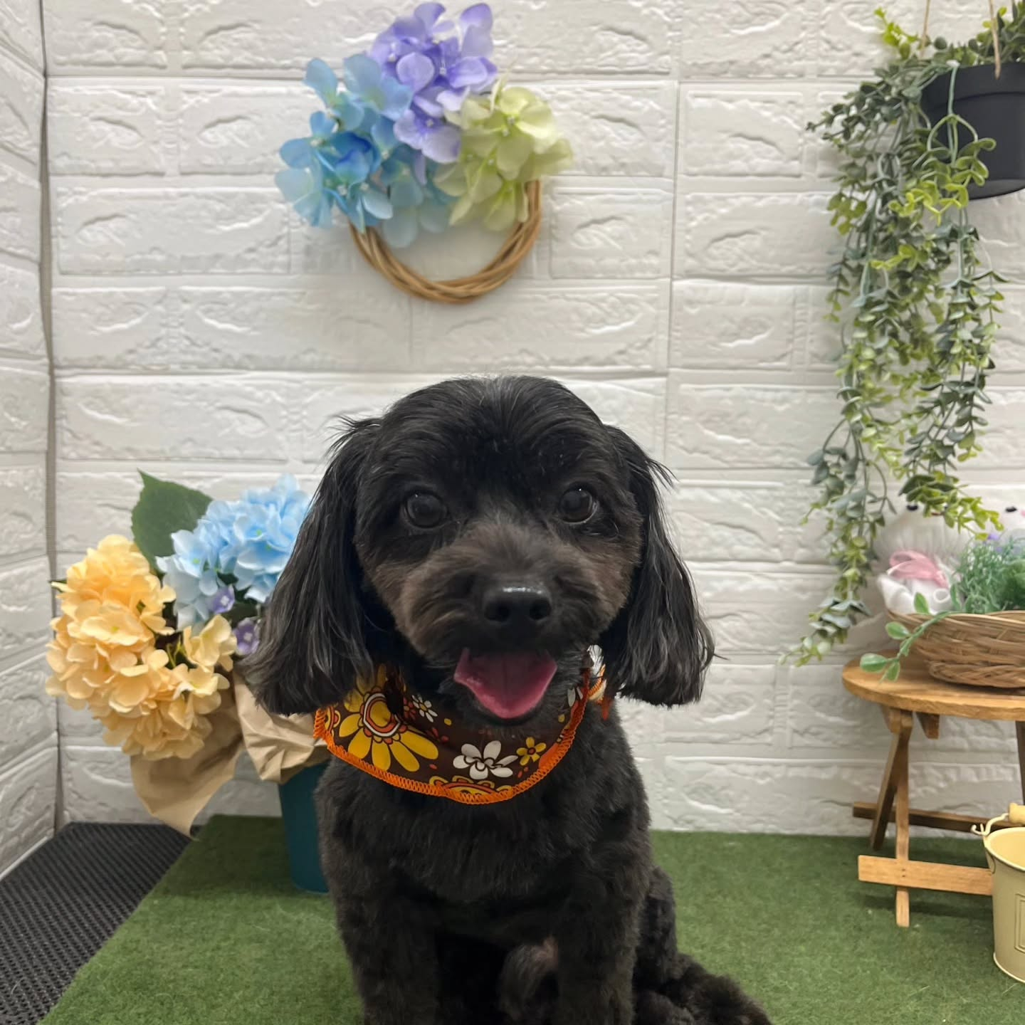 🐸🐸🐸🐸🐸🐸🐸🐸