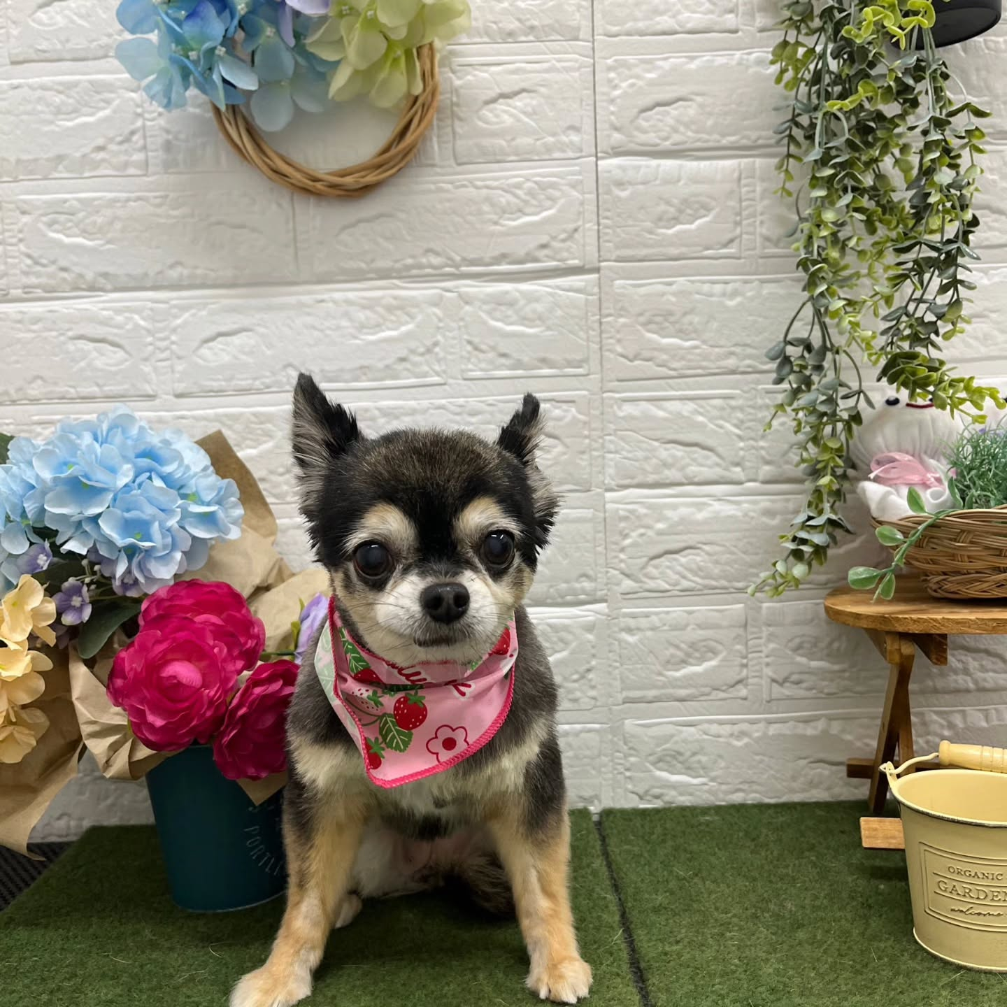 🐸🐸🐸🐸🐸🐸🐸🐸