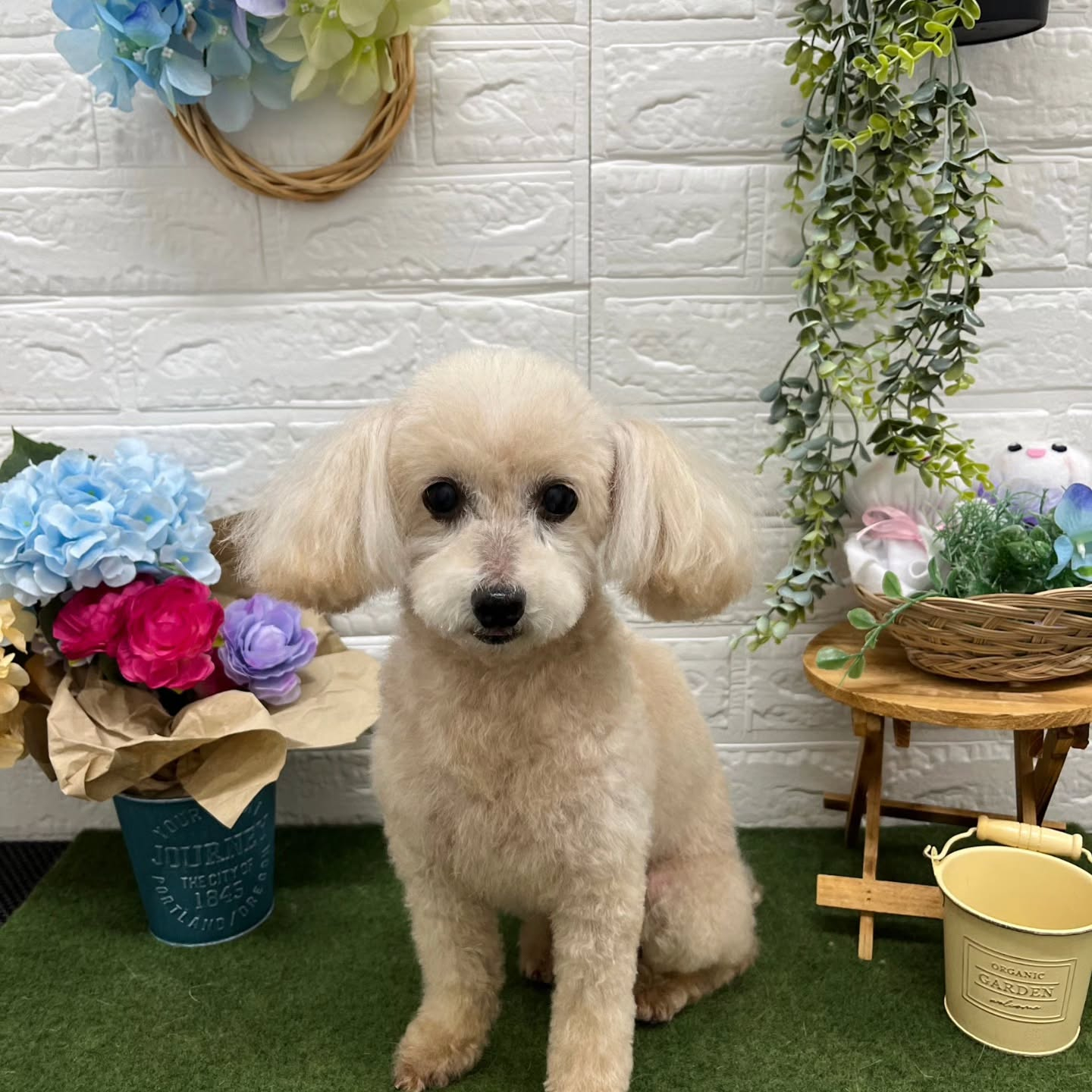 🐸🐸🐸🐸🐸🐸🐸🐸