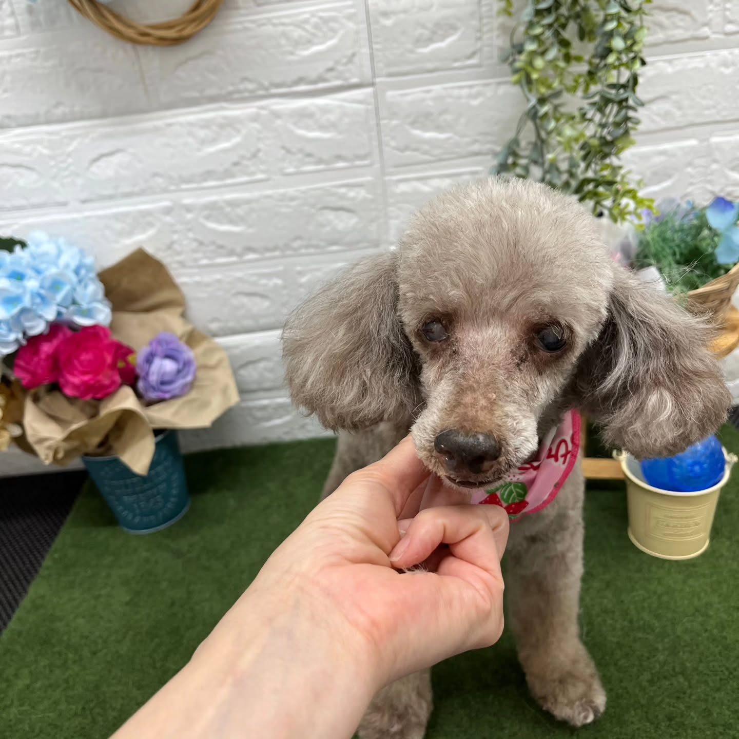 ☺🌈☺🌈☺🌈☺🌈