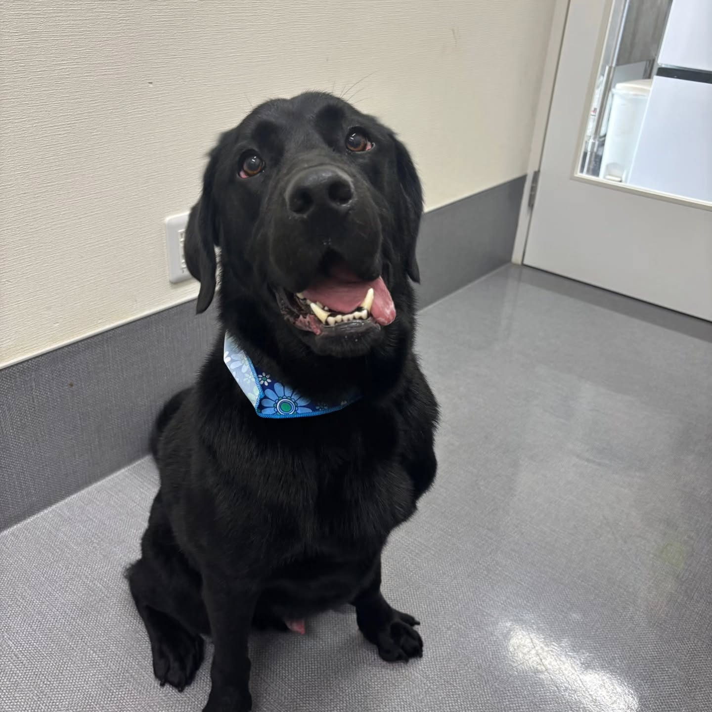 ☺🌈☺🌈☺🌈☺🌈