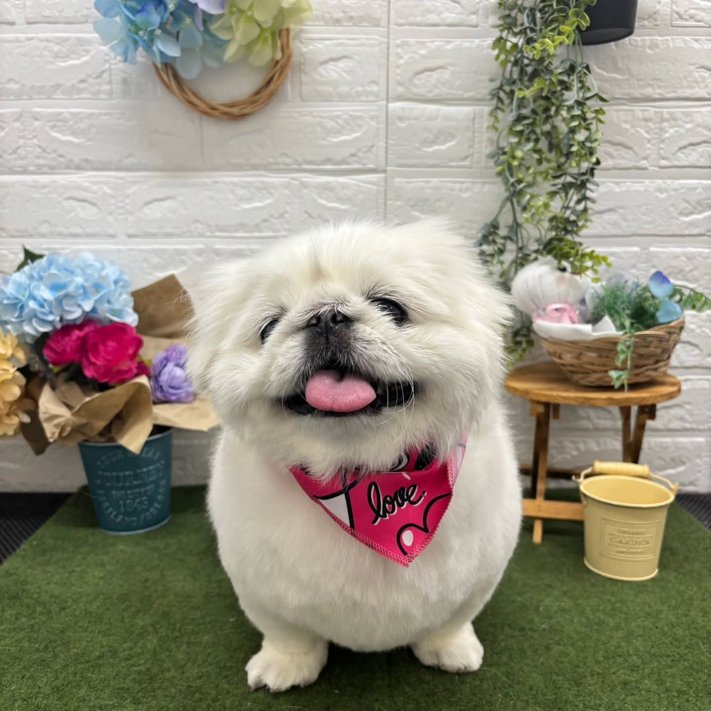 ☺🌈☺🌈☺🌈☺🌈