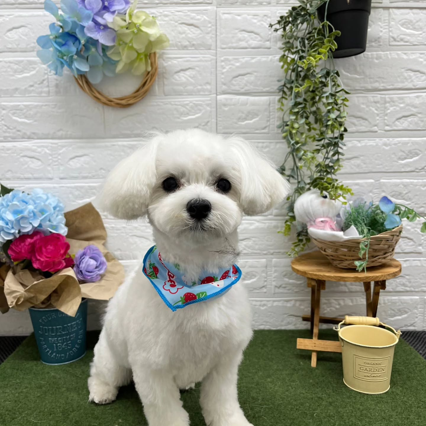 ☺🌈☺🌈☺🌈☺🌈