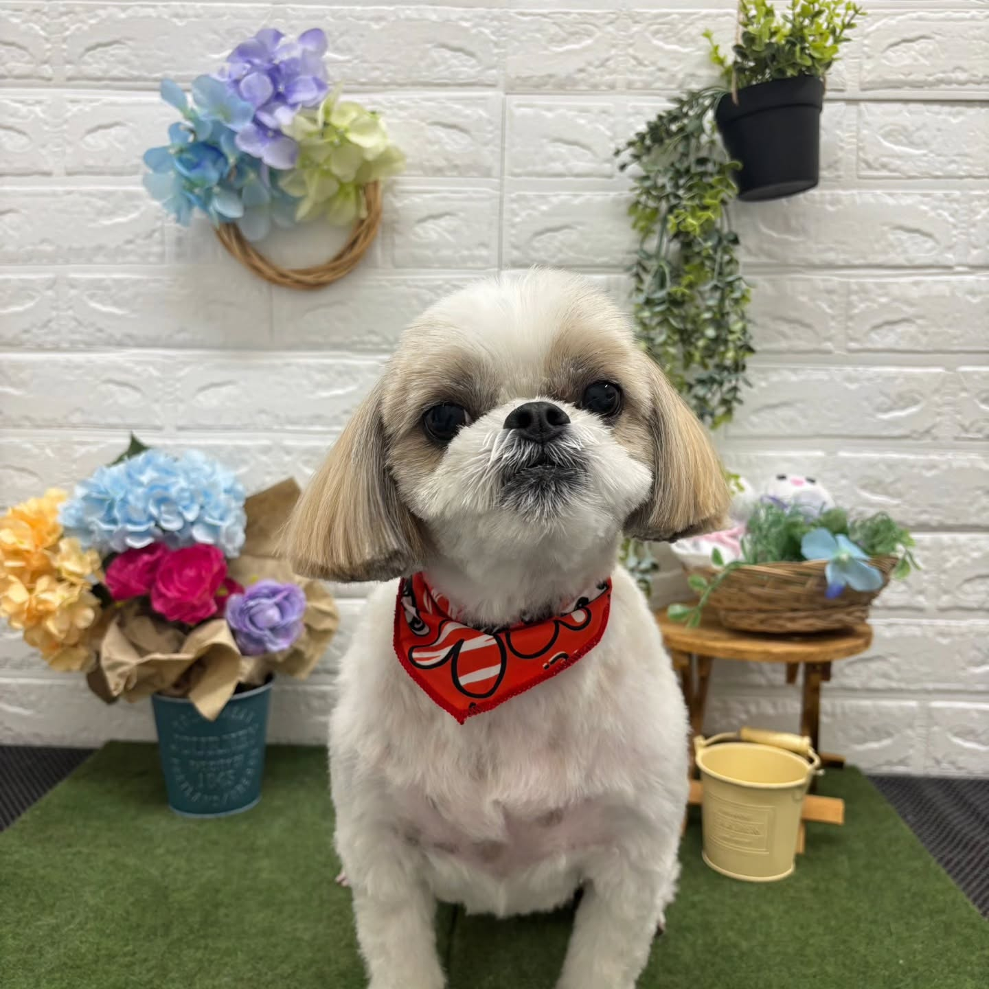 โบ๐โบ๐โบ๐โบ๐