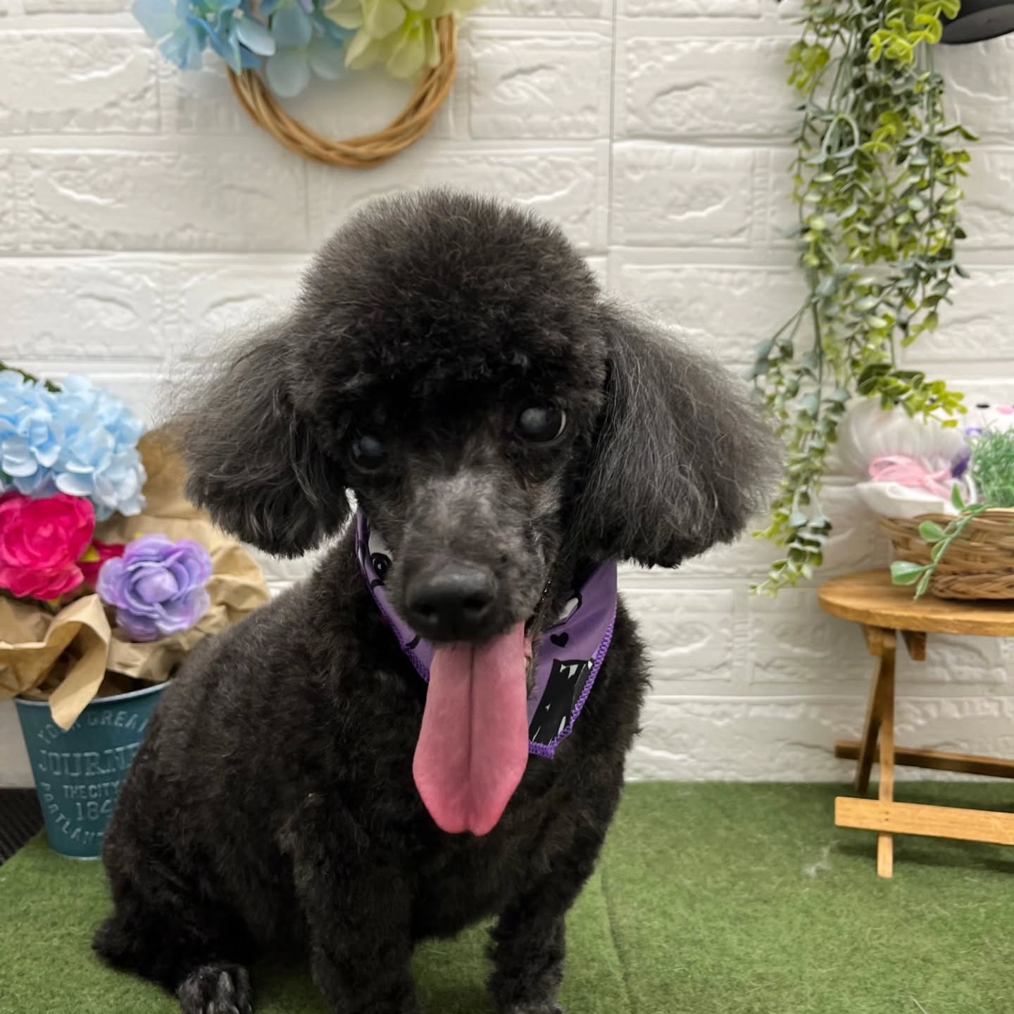 โบ๐โบ๐โบ๐โบ๐