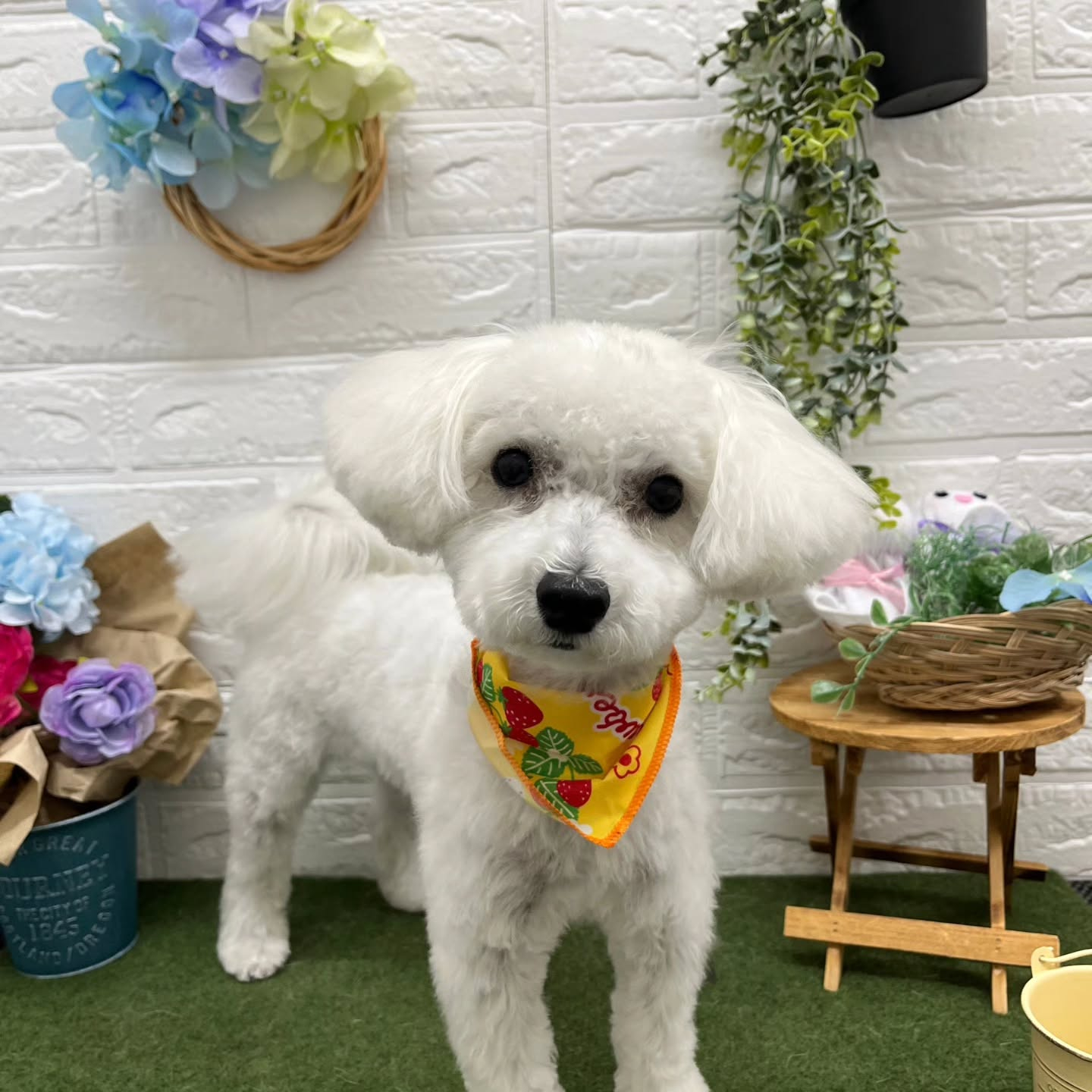 โบ๐โบ๐โบ๐โบ๐