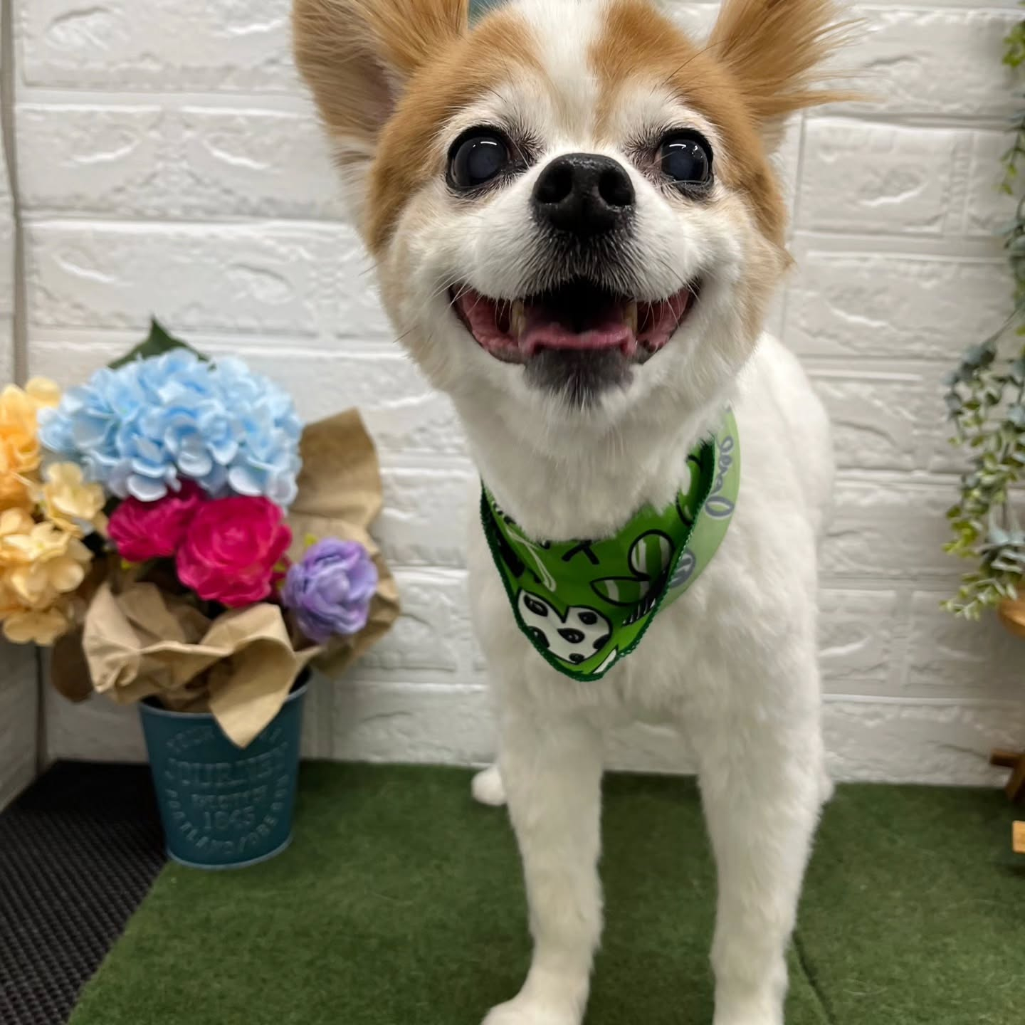 โบ๐โบ๐โบ๐โบ๐